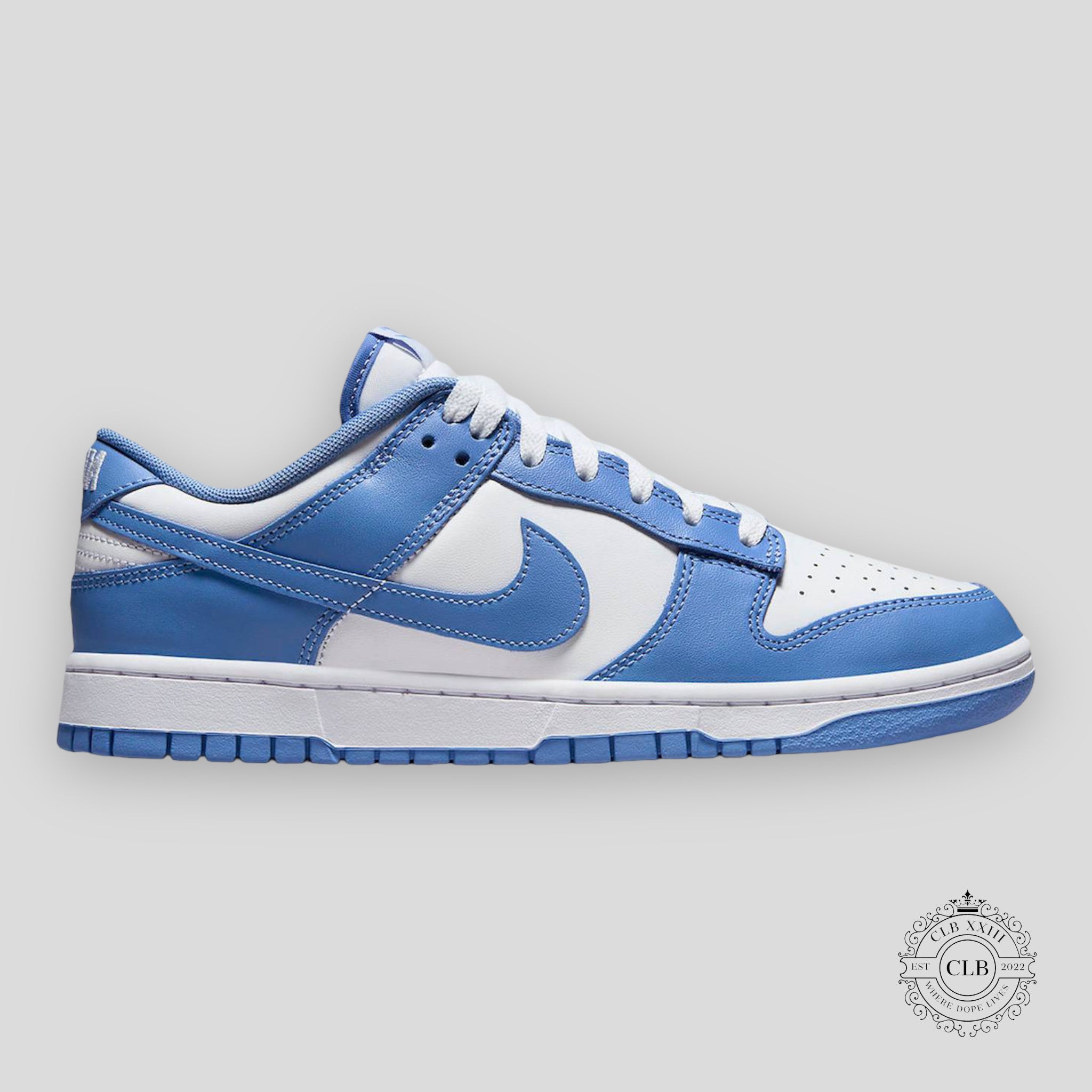 NIKE DUNK LOW "POLAR BLUE"