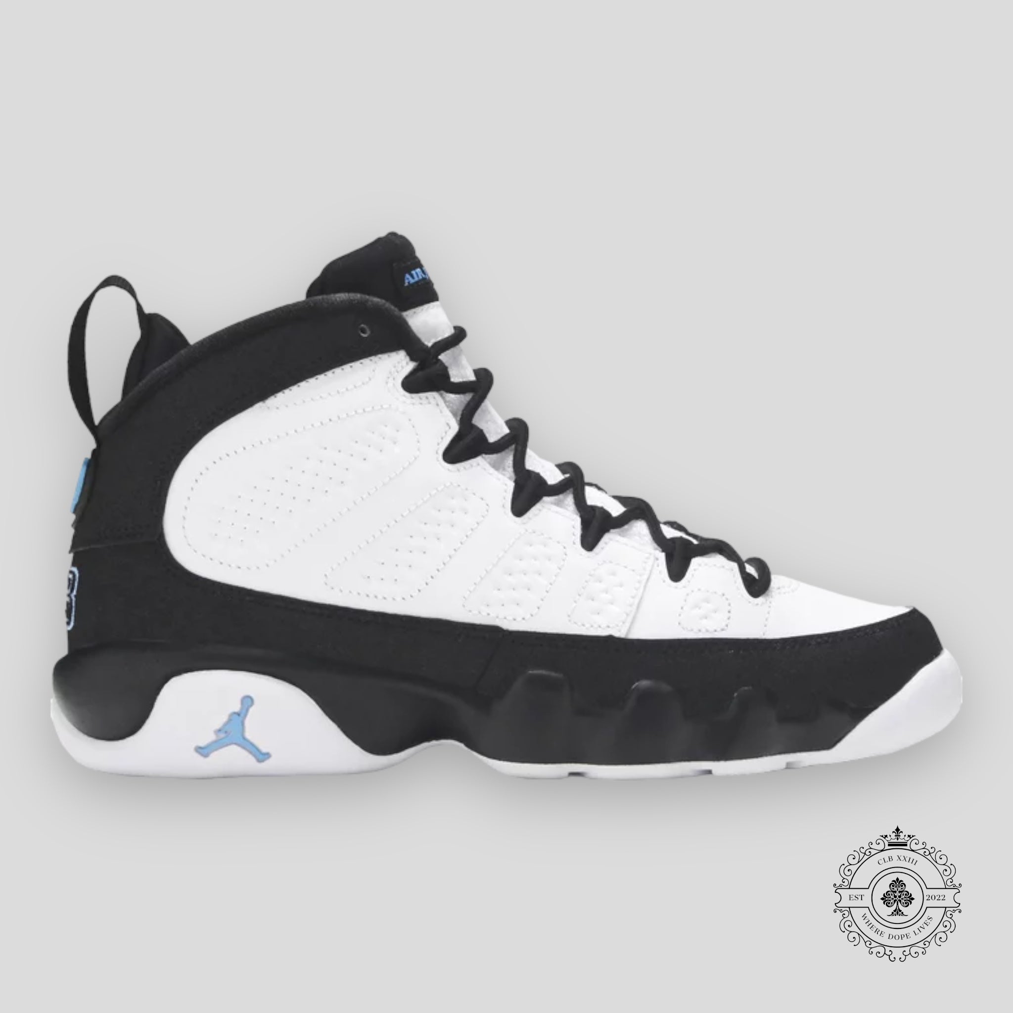 Air Jordan 9 Retro University Blue