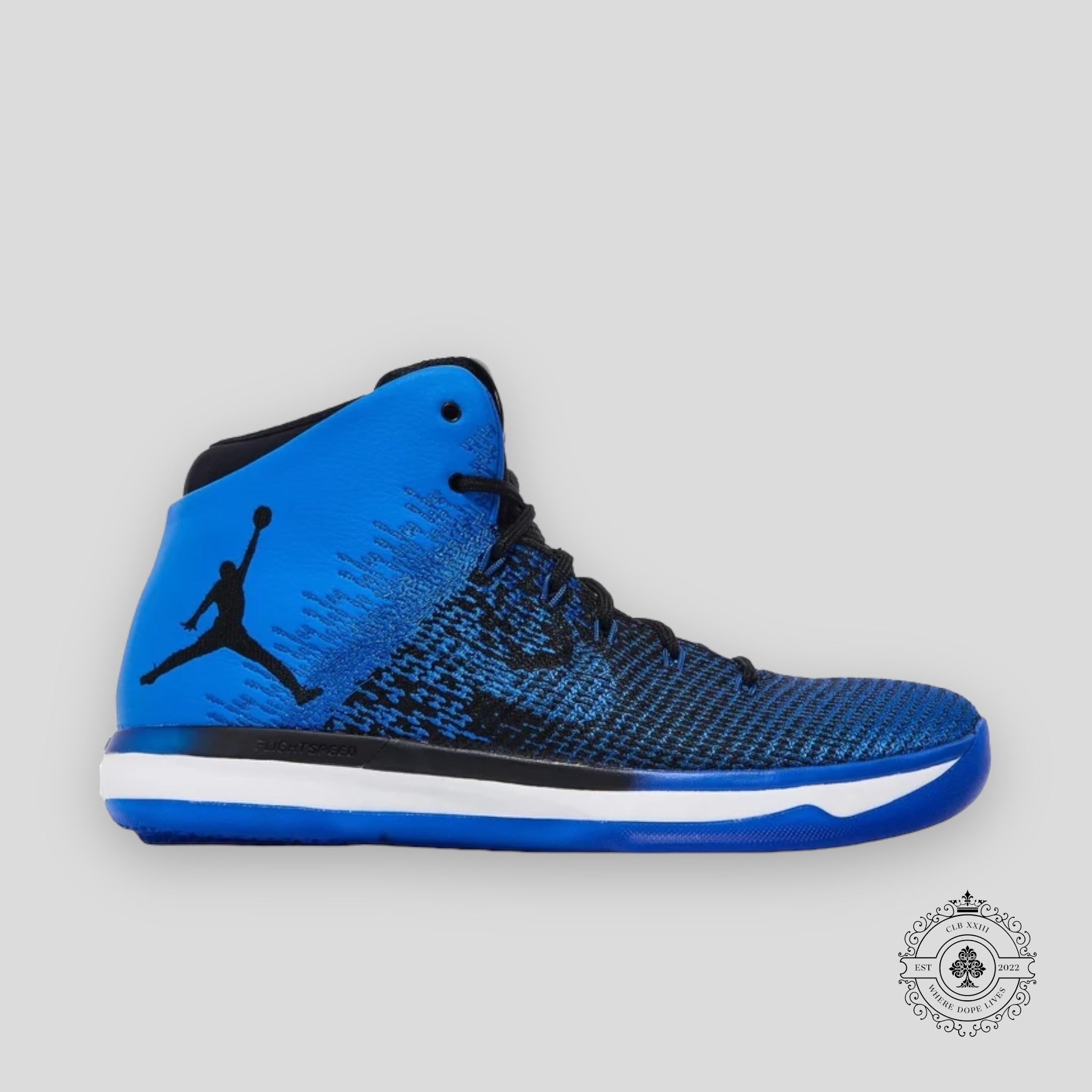 Air Jordan 31 "Royal"