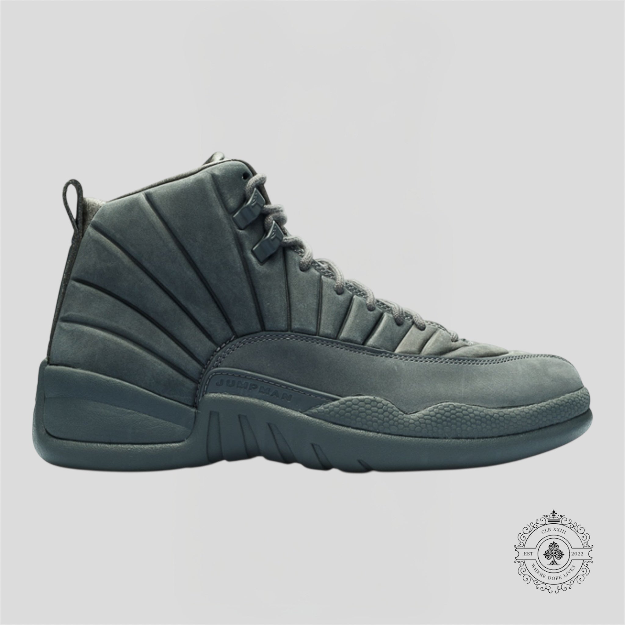 Air Jordan 12 Retro PSNY
