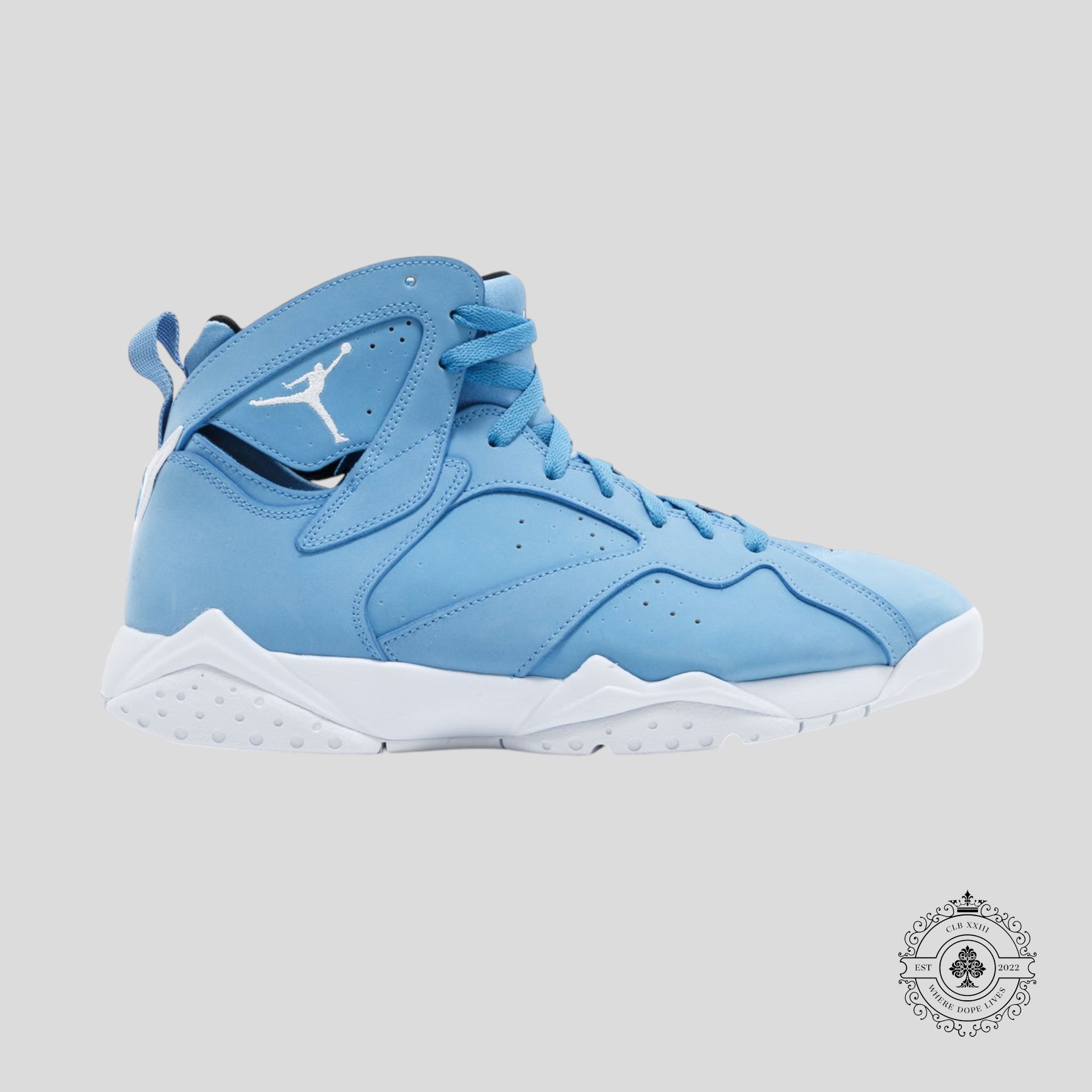 Air Jordan 7 Retro Pantone