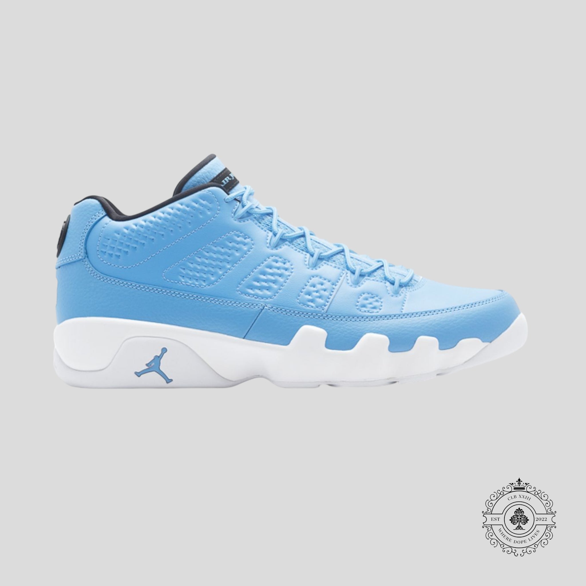 Air Jordan 9 Retro Low Pantone