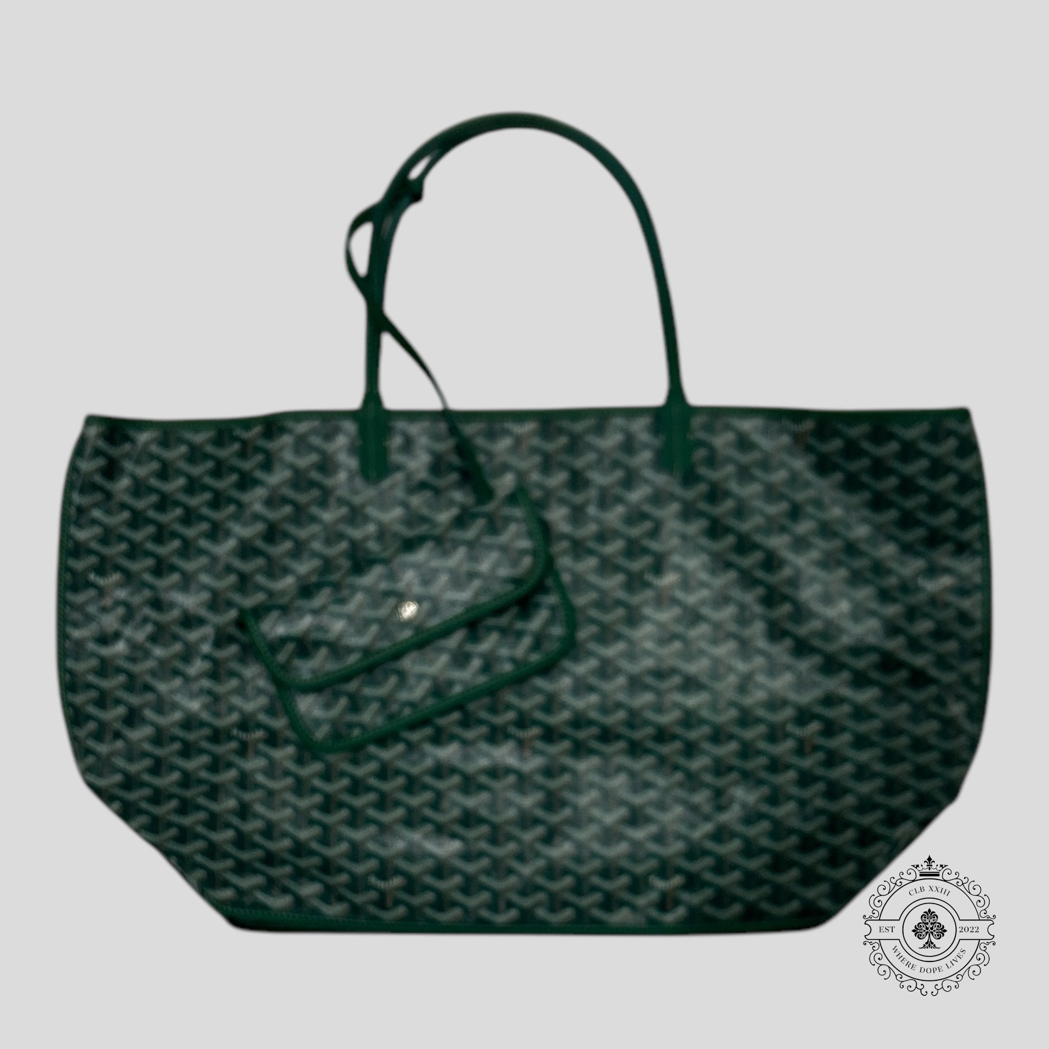 Goyard Anjou GM Bag in Green