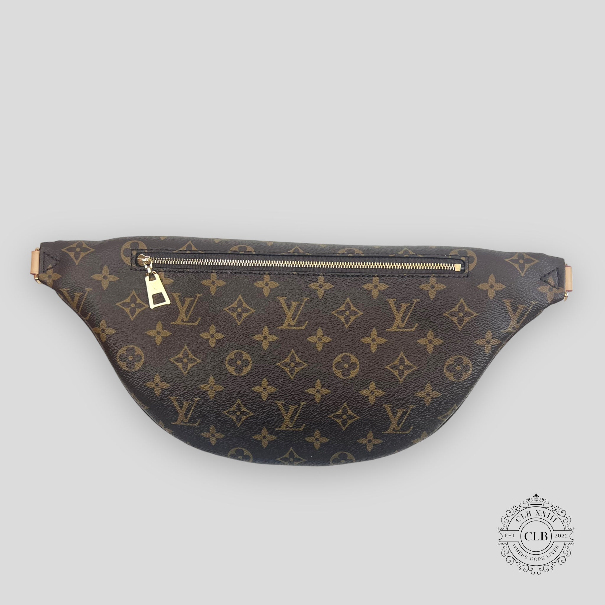 LOUIS VUITTON HIGH RISE BUMBAG