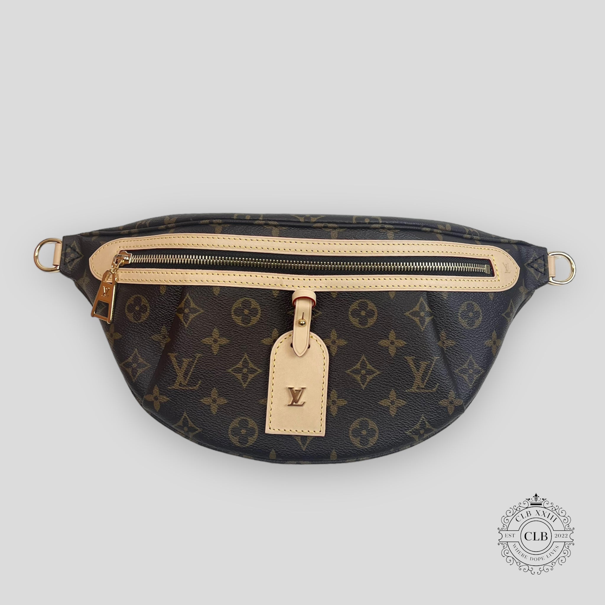 LOUIS VUITTON HIGH RISE BUMBAG