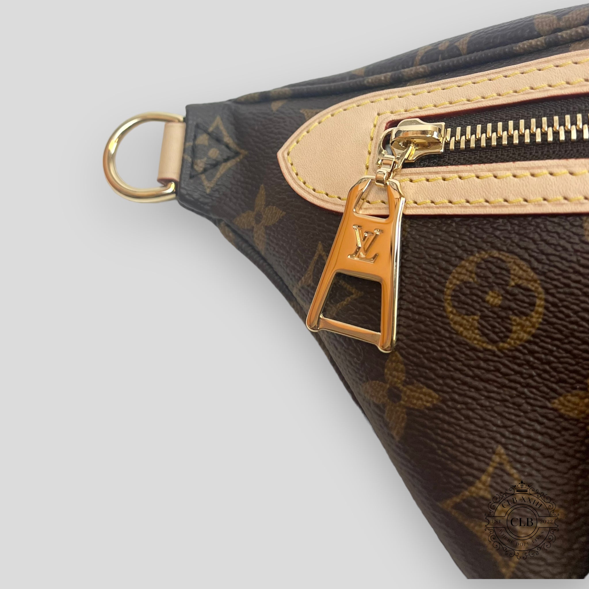 LOUIS VUITTON HIGH RISE BUMBAG