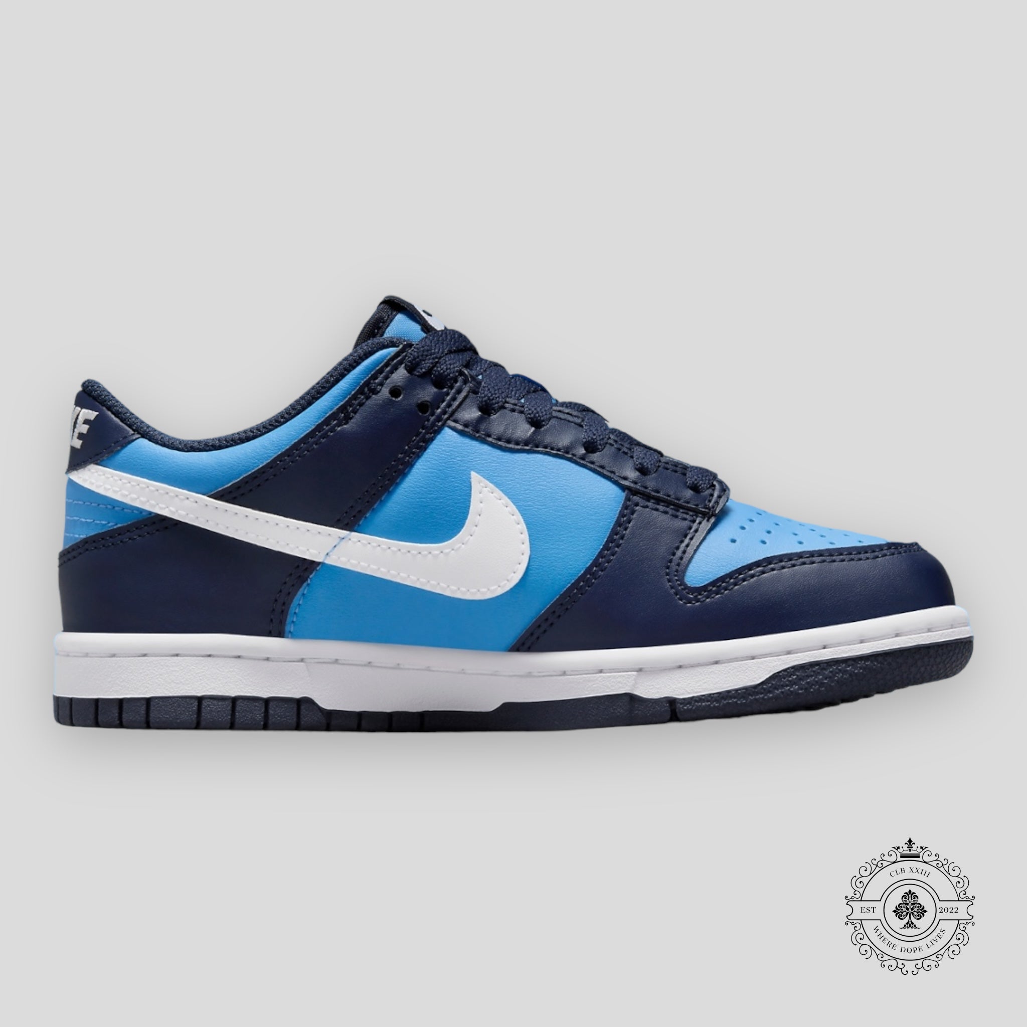 Nike Dunk Low GS "University Blue"