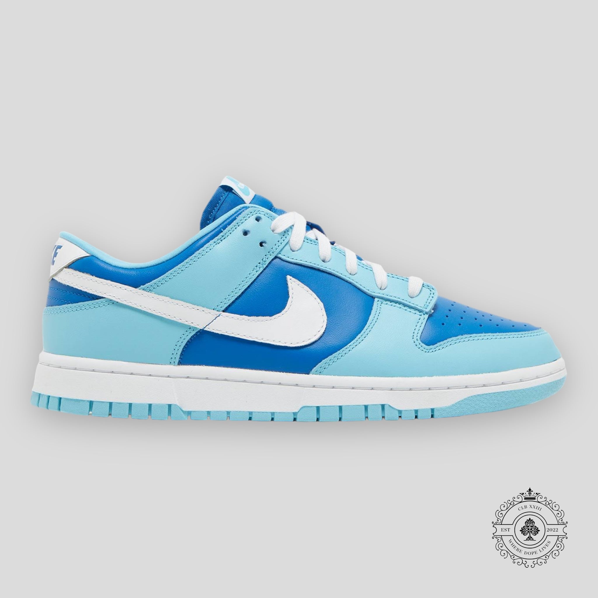 Nike Dunk Low Retro “Argon”