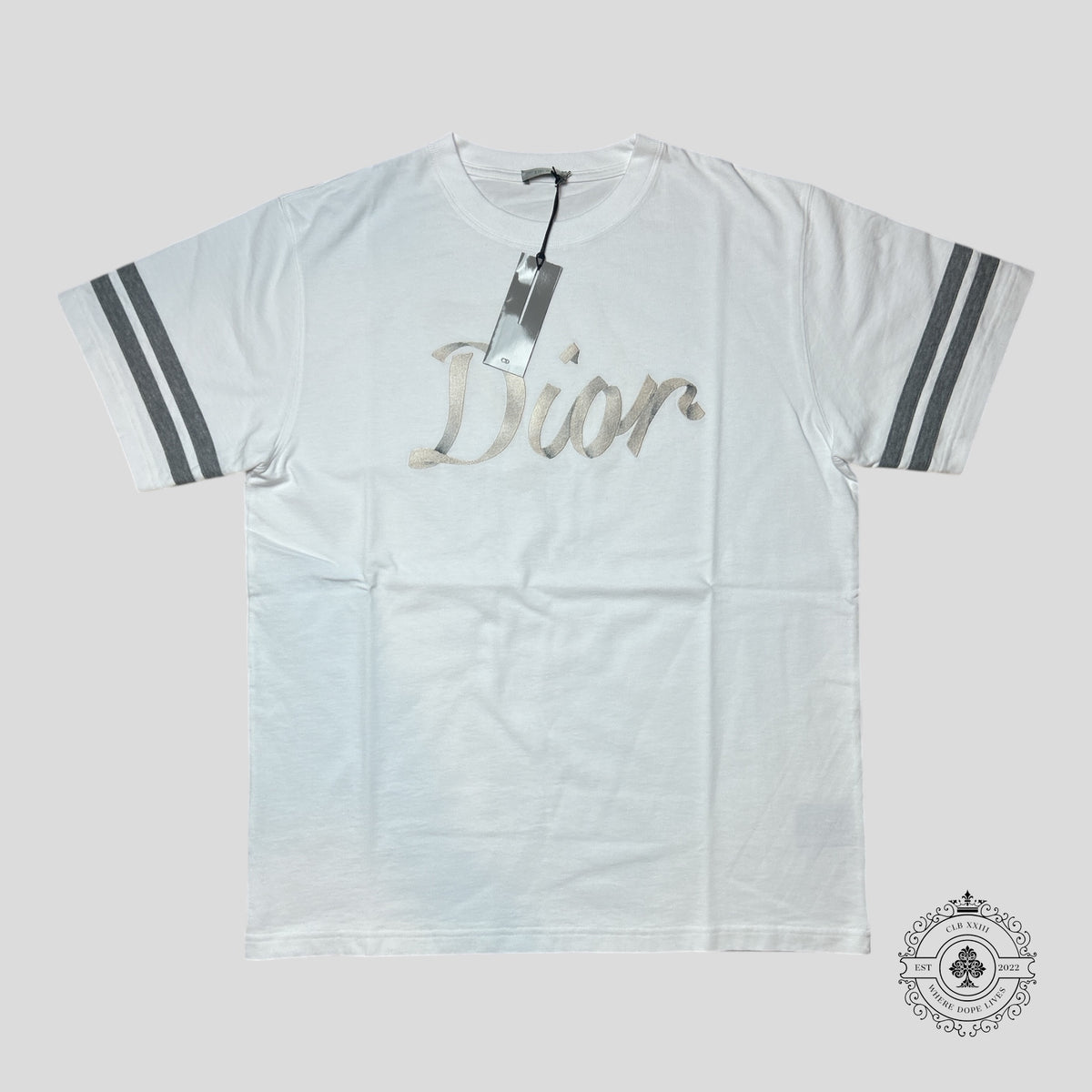 Dior Metallic Ribbon Logo Striped Sleeve T-shirt in White/Grey