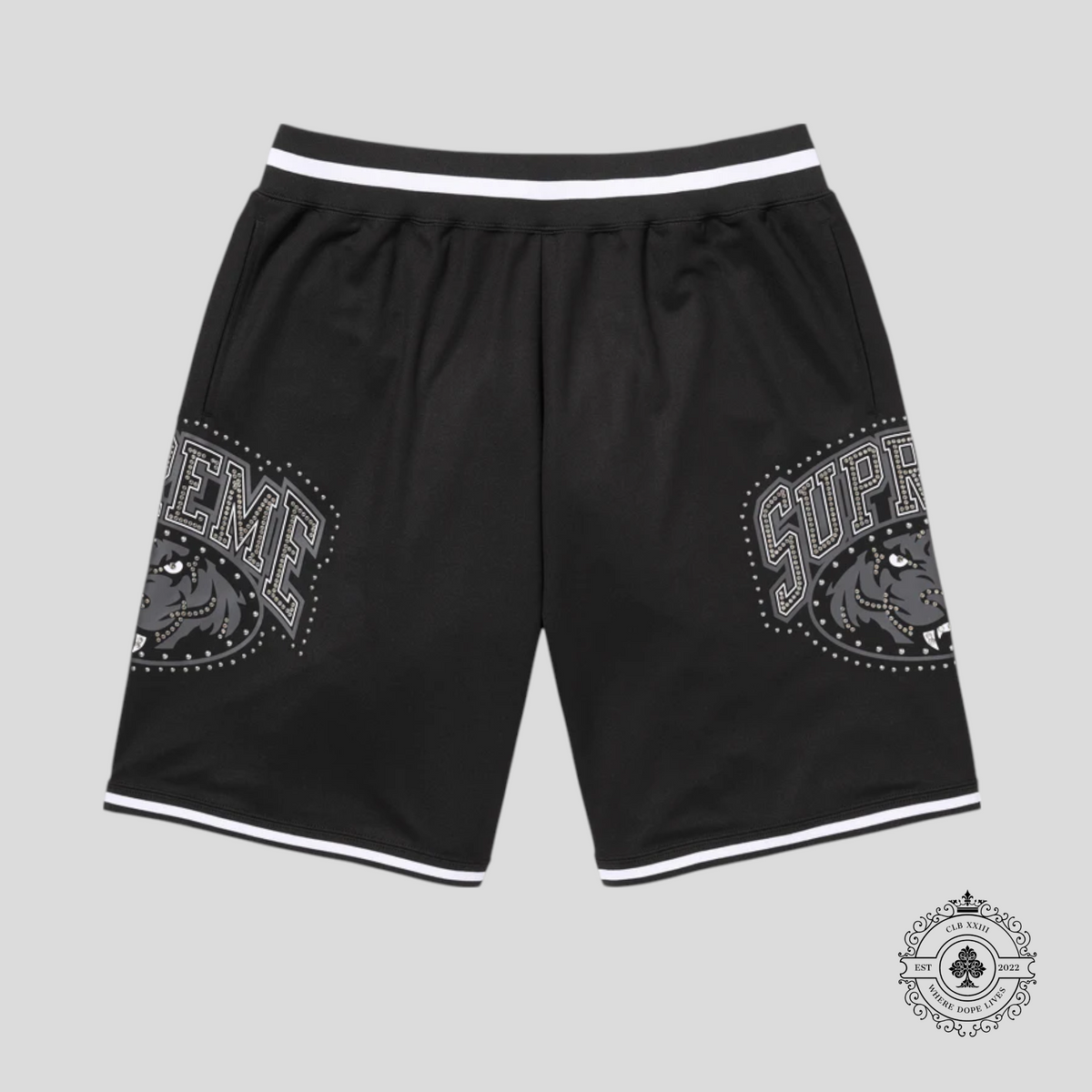 Supreme Studded Basketball Shorts in Black