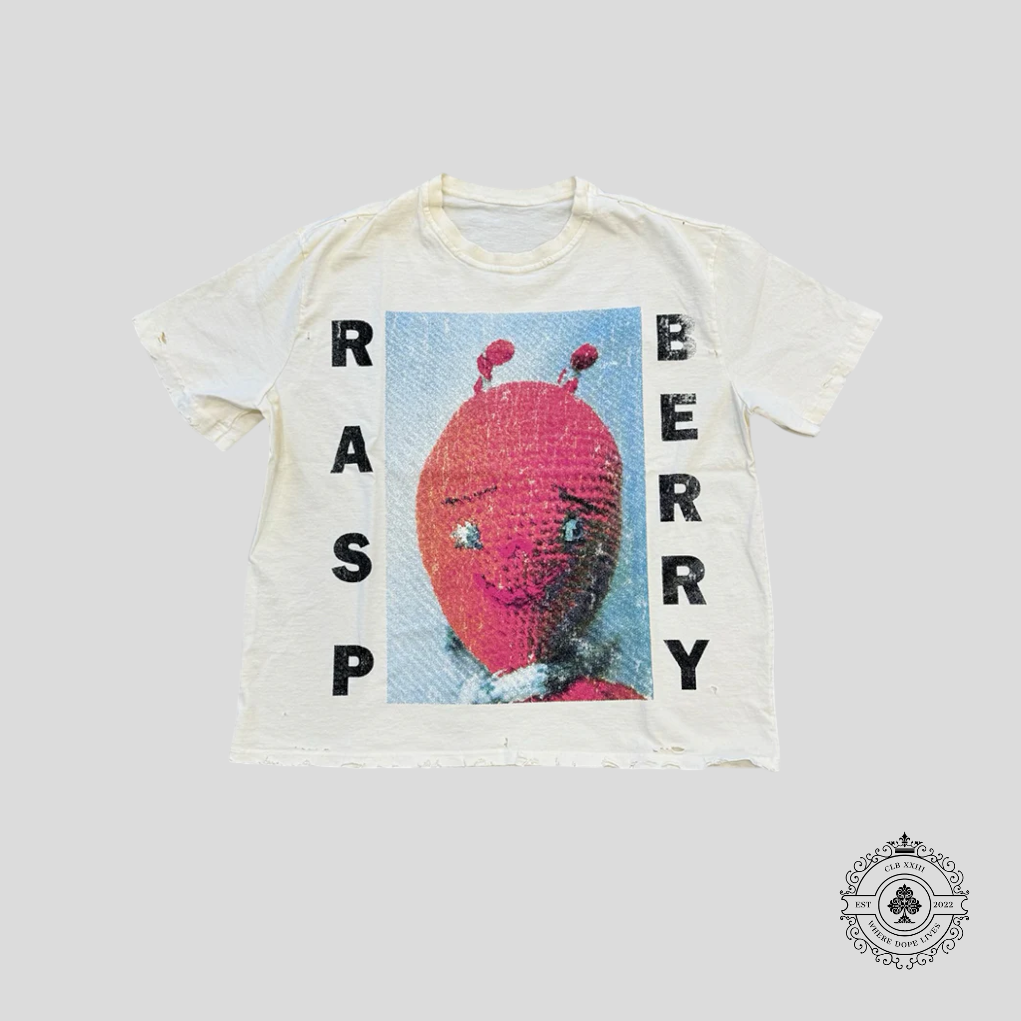 GV Gallery Raspberry Hills Sonic Tee in Off-White