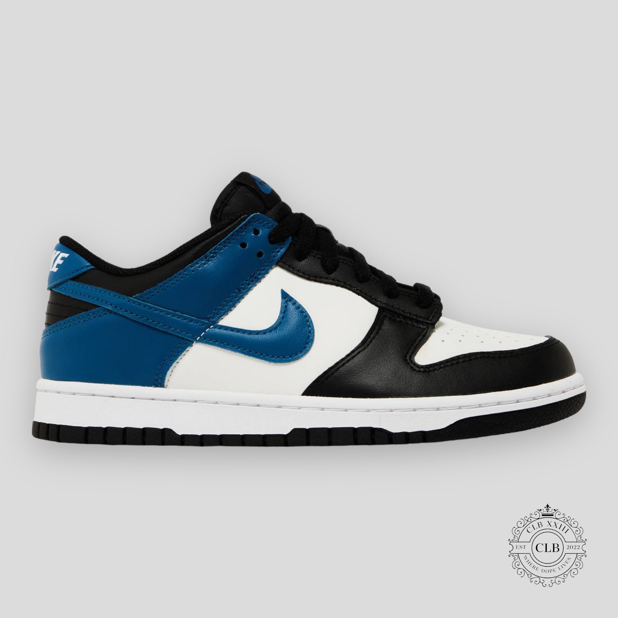 NIKE DUNK LOW (GS) "INDUSTRIAL BLUE"