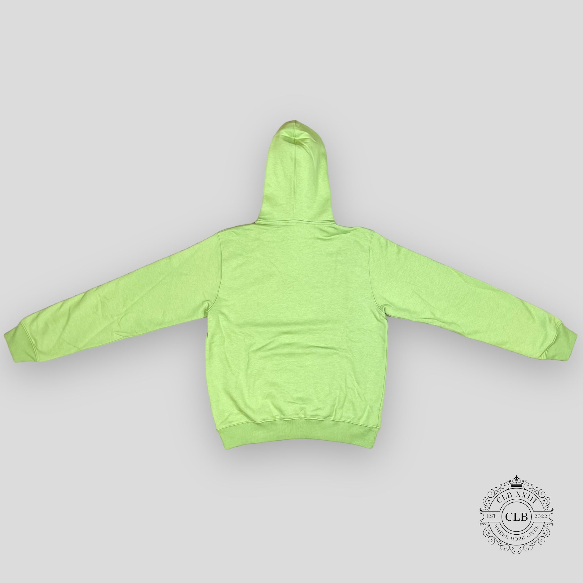 DIOR CD ICON HOODED SWEATSHIRT - GREEN