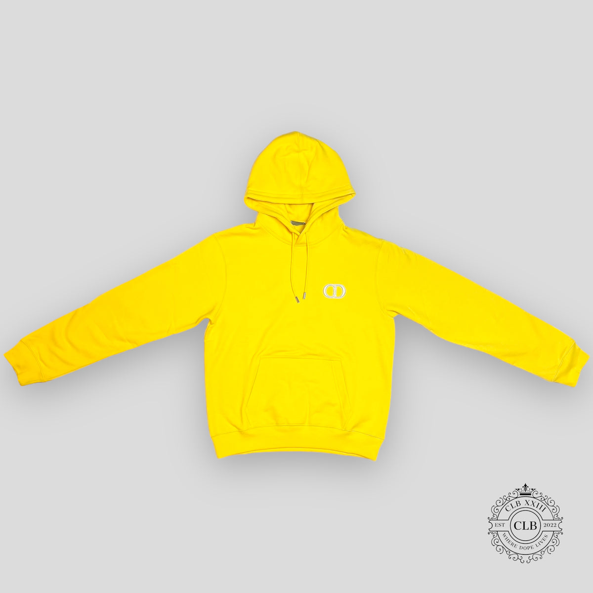 Dior CD Icon Hoodie in Yellow