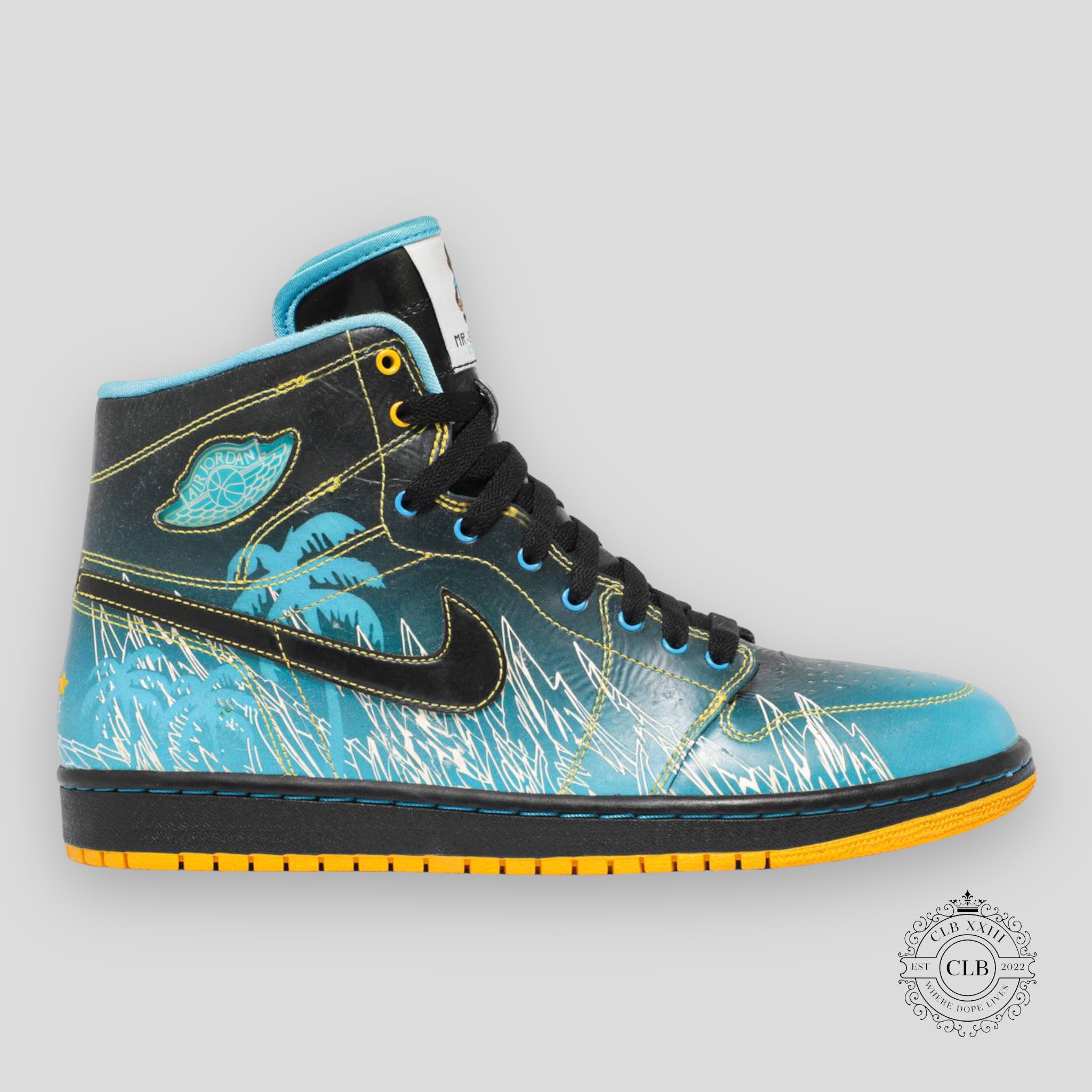 AIR JORDAN 1 RETRO HIGH "DOERNBECHER" 2008