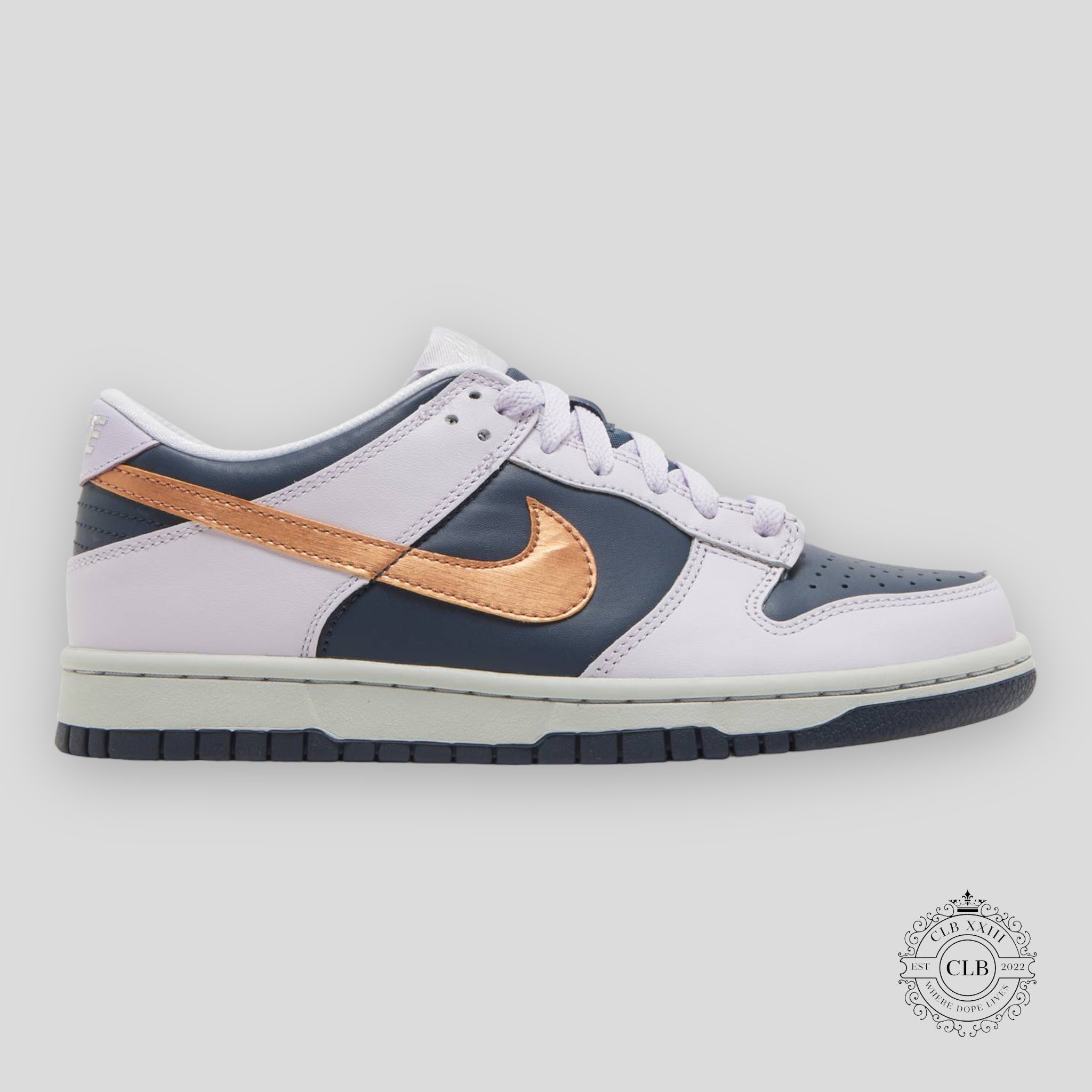 NIKE DUNK LOW (GS) "COPPER SWOOSH"