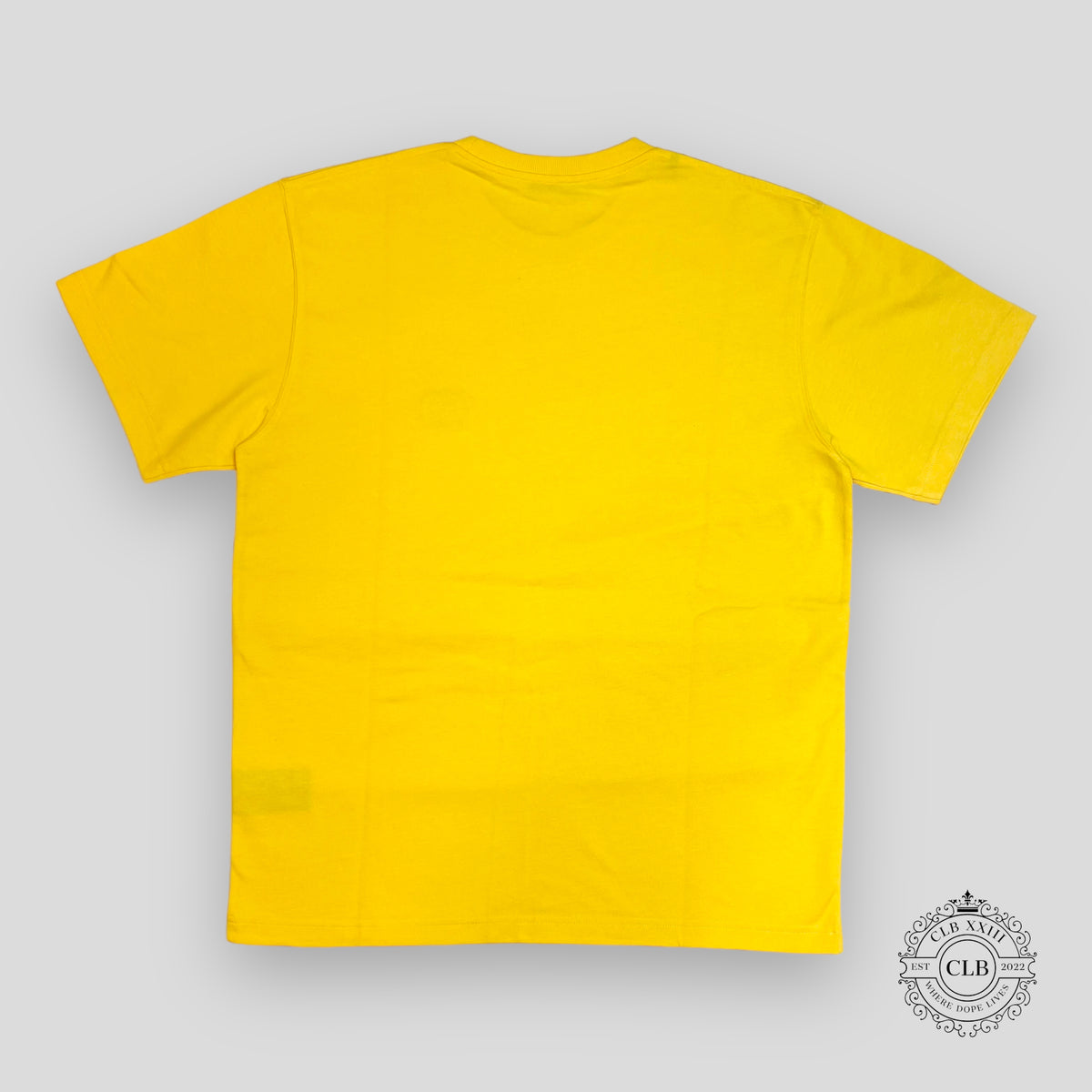 Dior CD Icon T-Shirt in Yellow