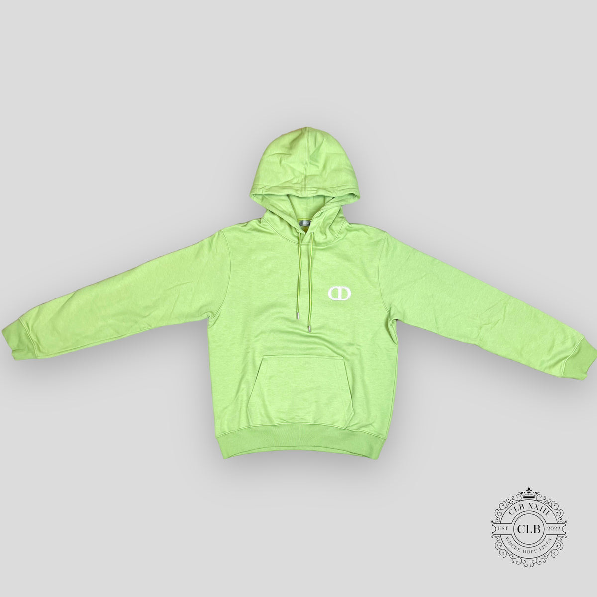 Dior CD Icon Hoodie in Green