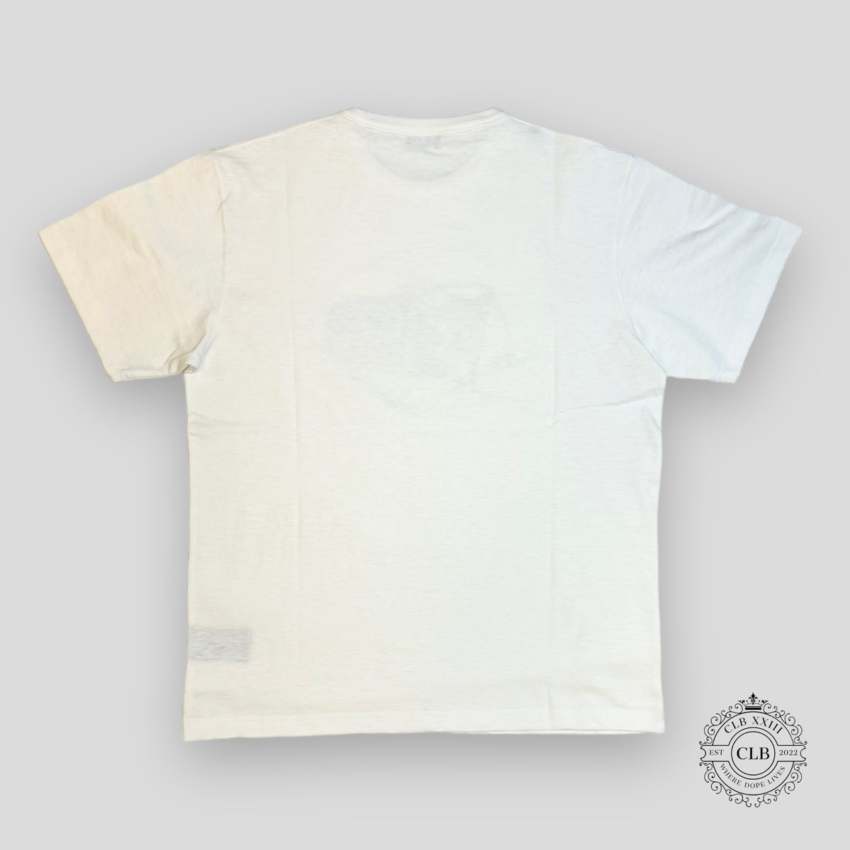 Dior Velour Logo T-Shirt in White