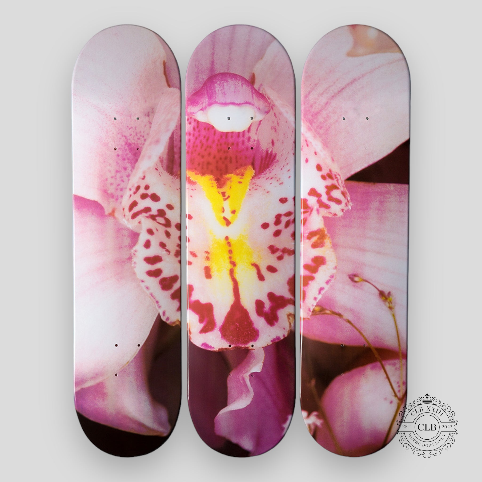 NOBUYOSHI ARAKI "ORCHID" SKATEBOARD SET