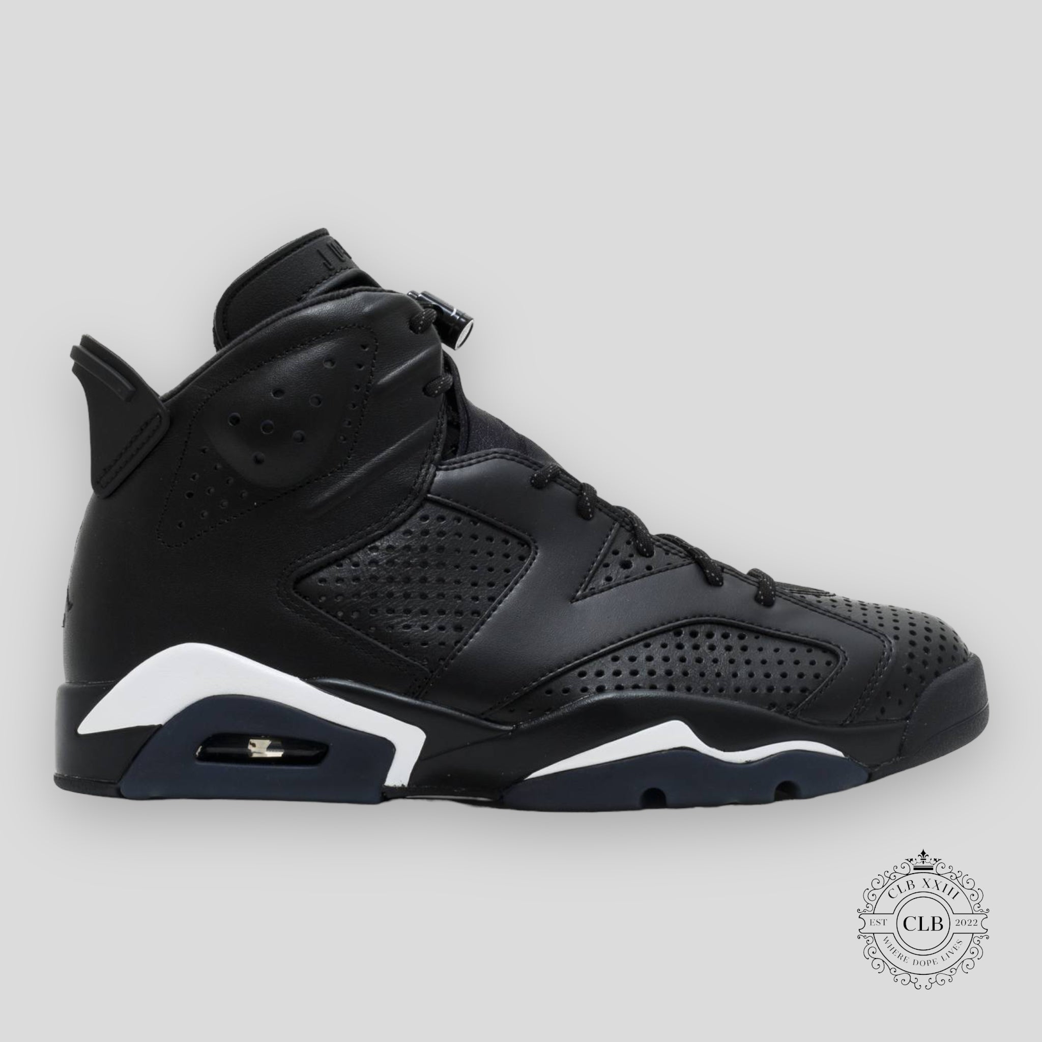 AIR JORDAN 6 RETRO "BLACK CAT"