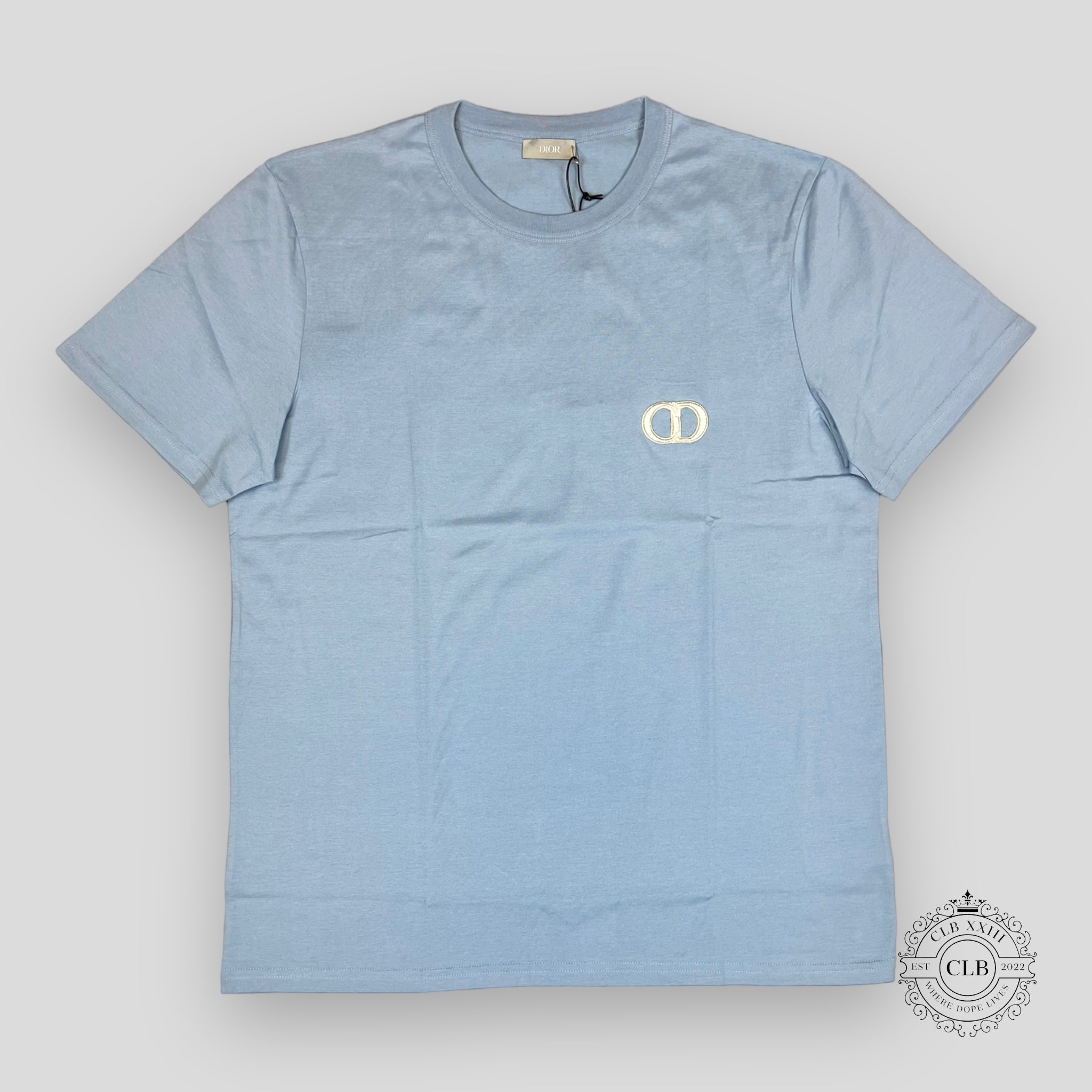 Dior CD Icon T-Shirt in Light Blue