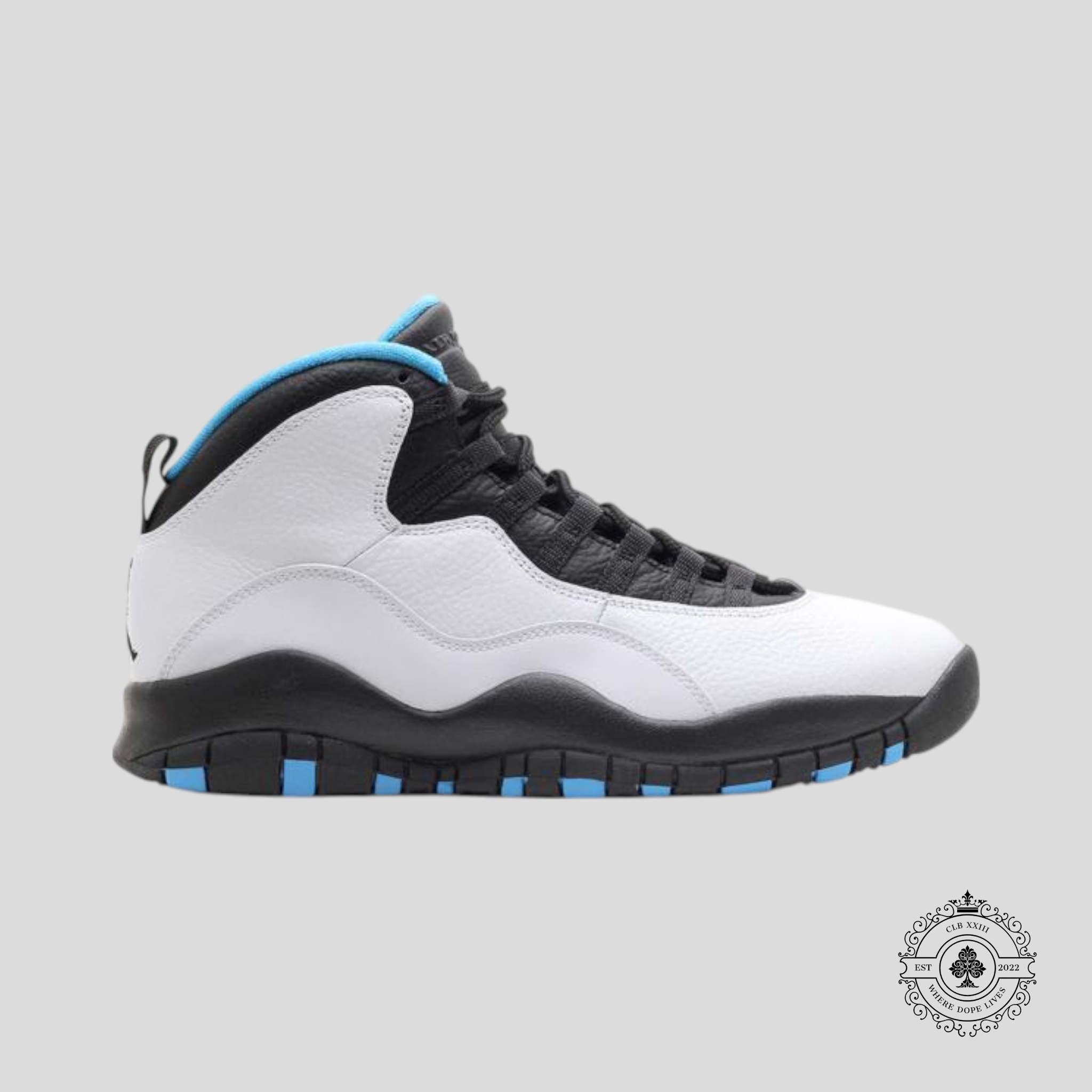 Air Jordan 10 Retro Powder Blue (2013)