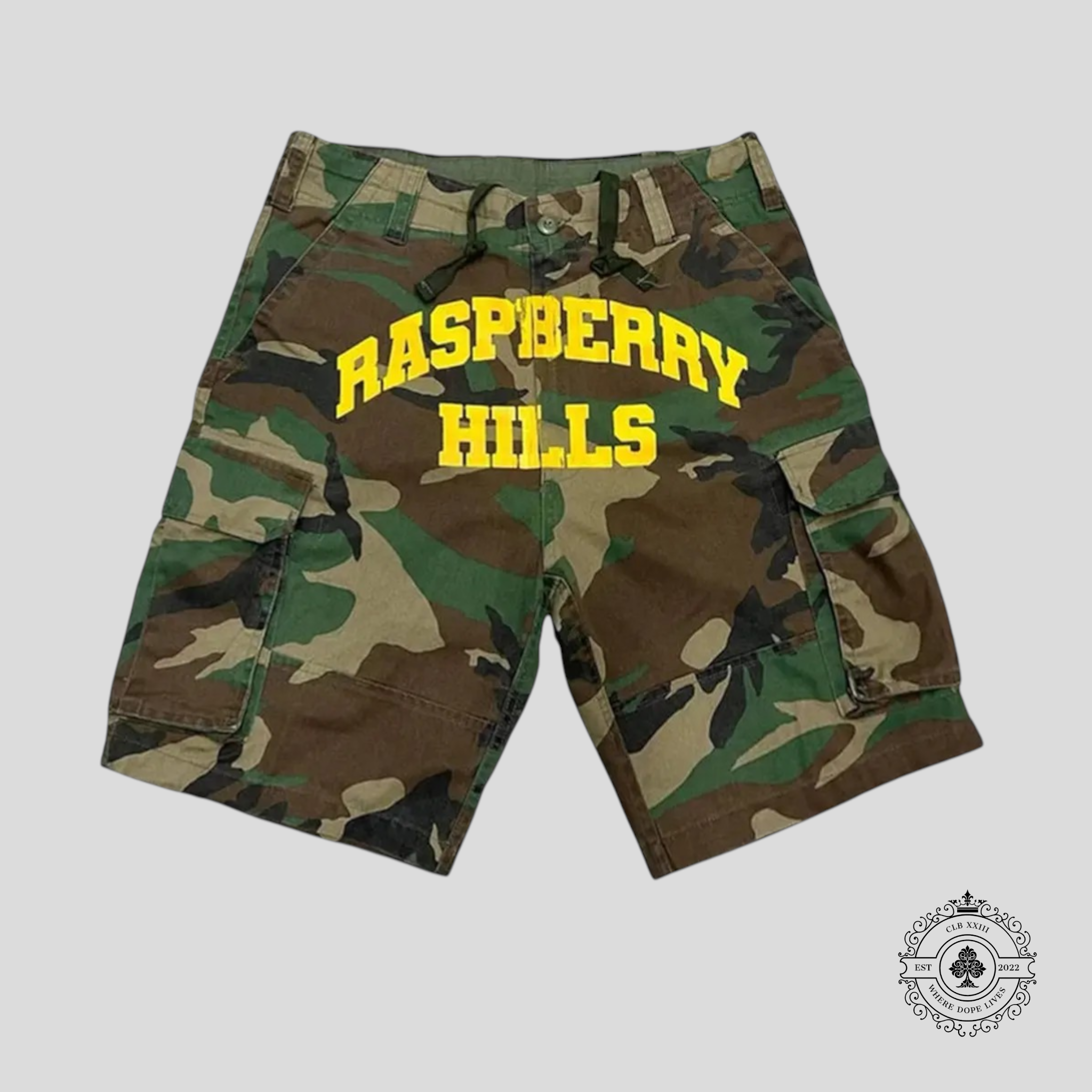 GV Gallery Raspberry Hills Cargo Shorts in Camo