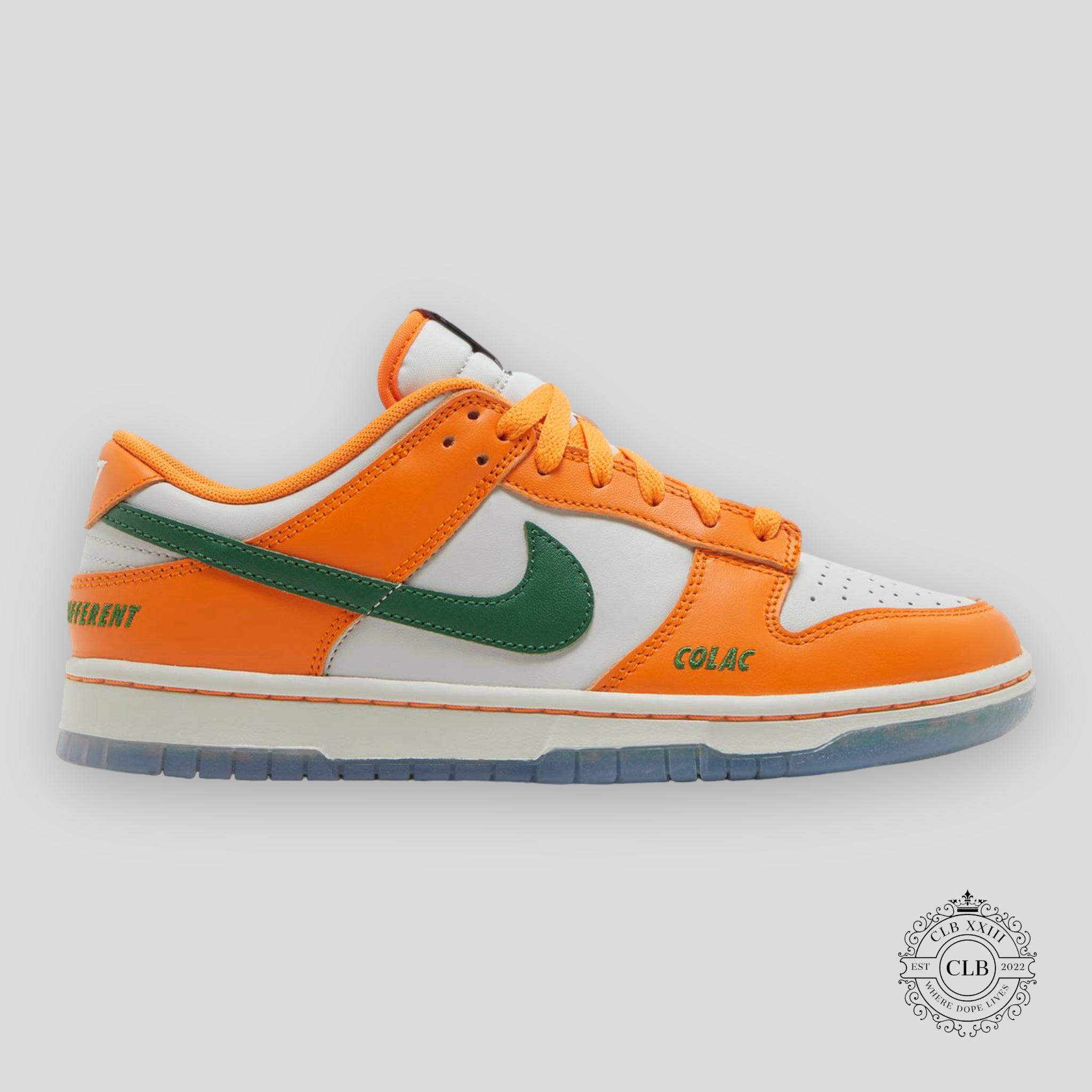 NIKE DUNK LOW "FLORIDA A&M UNIVERSITY"