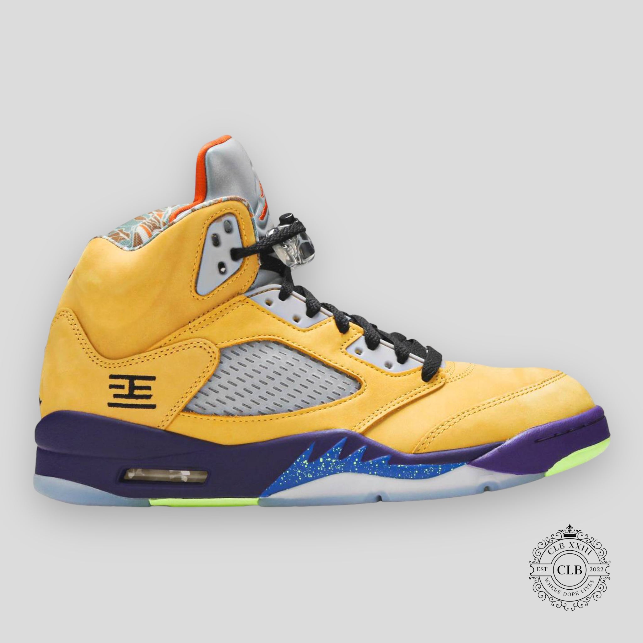AIR JORDAN 5 RETRO "WHAT THE"