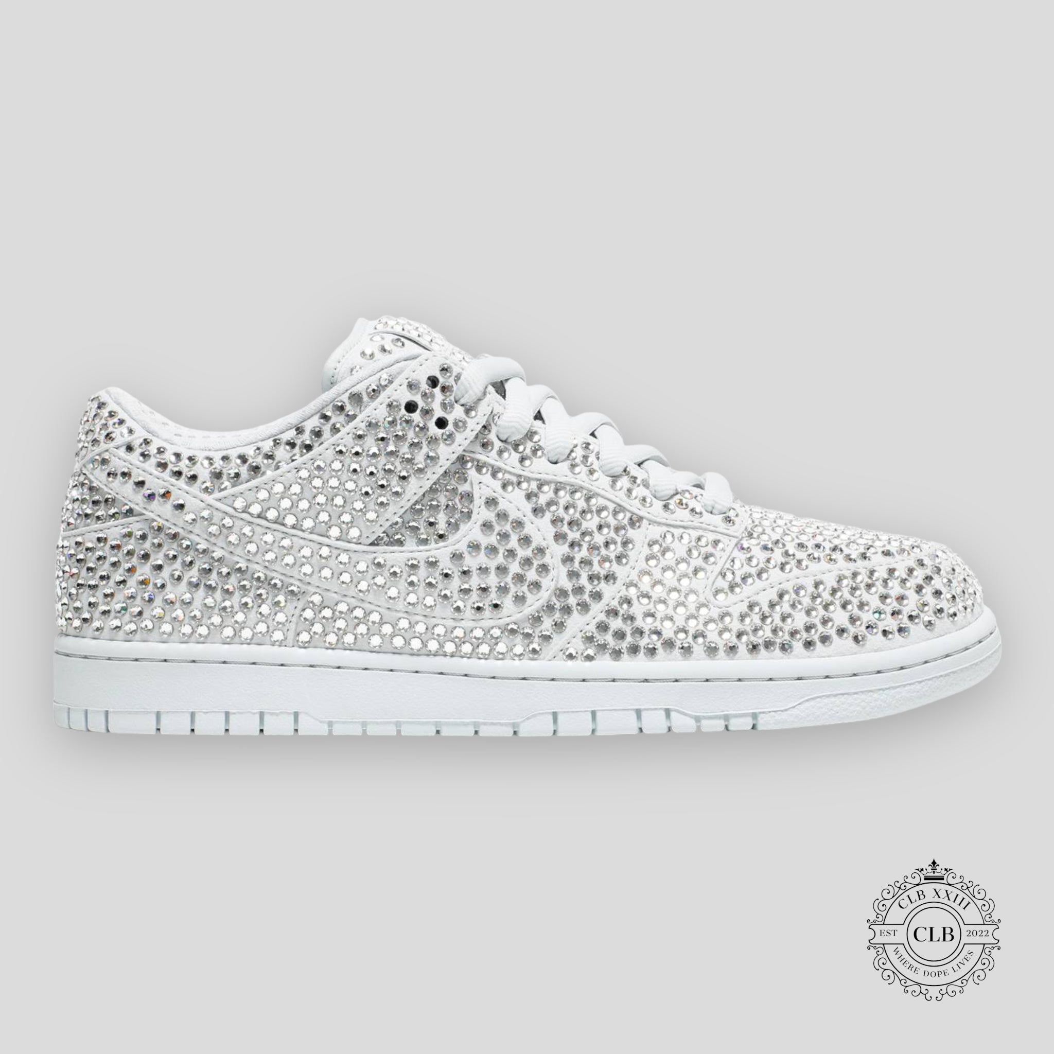 NIKE DUNK LOW X CPFM "PURE PLATINUM"