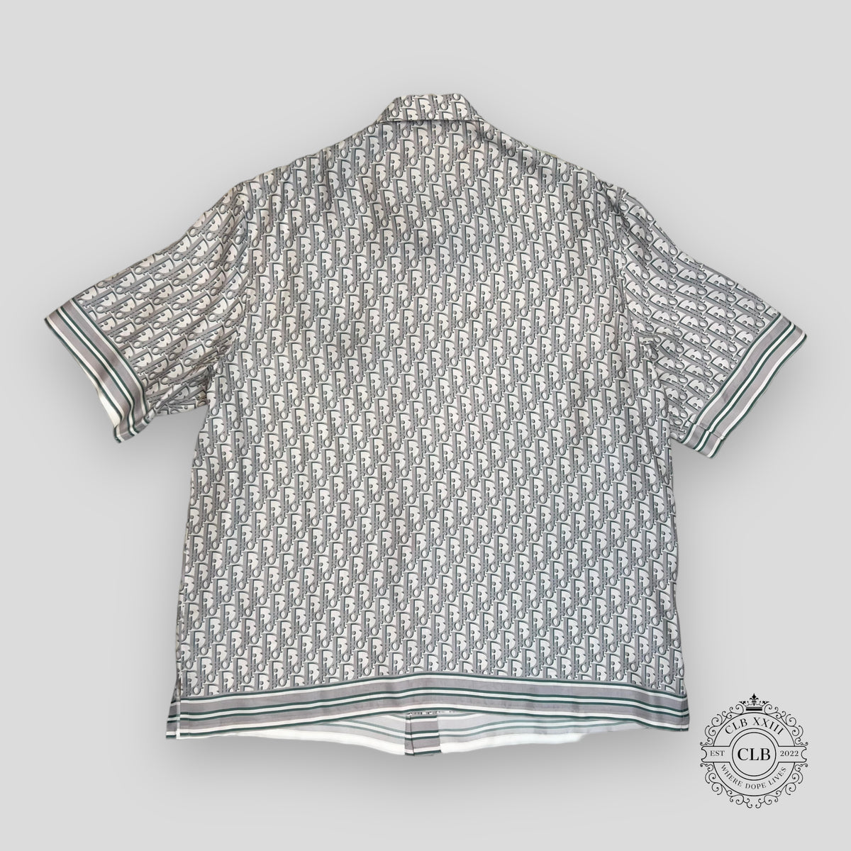 Dior Oblique Silk Button Up Shirt in Light Blue