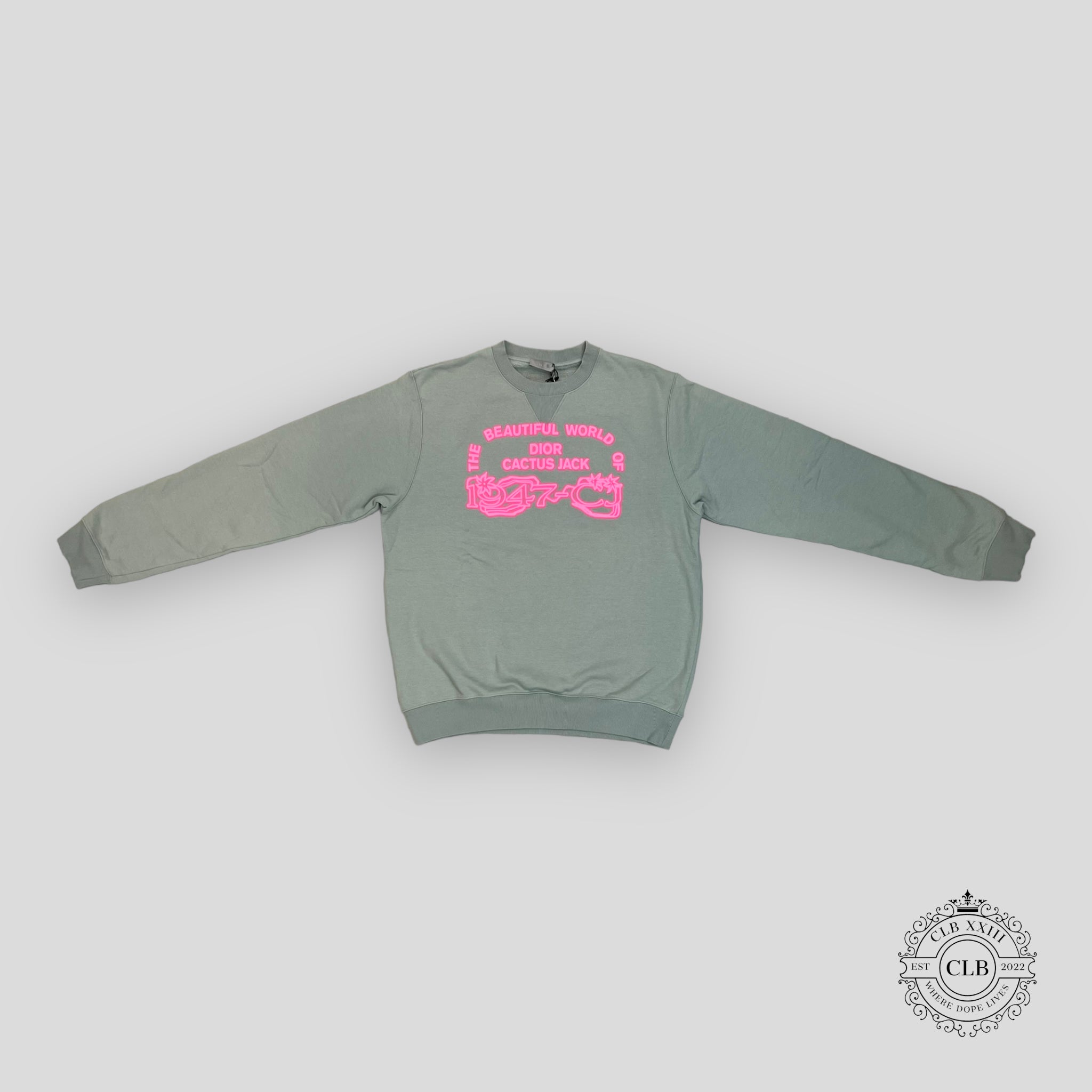 Dior Cactus Jack Beautiful World Crewneck in Green