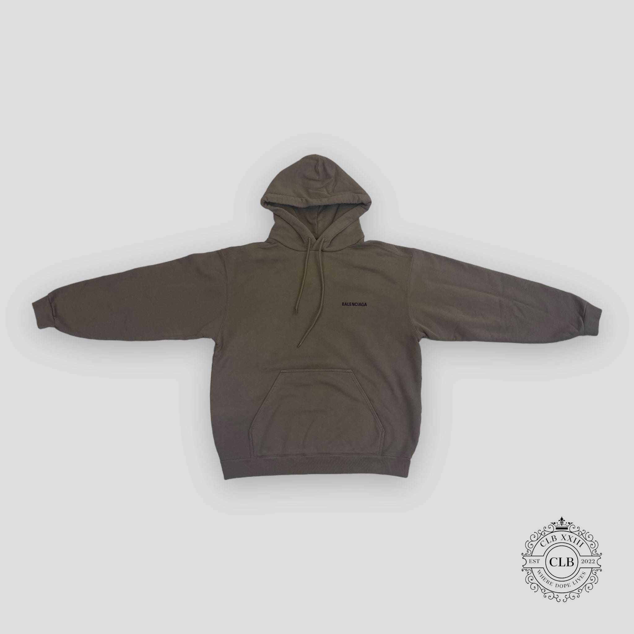 Balenciaga Medium Fit Logo Hoodie in Light Brown