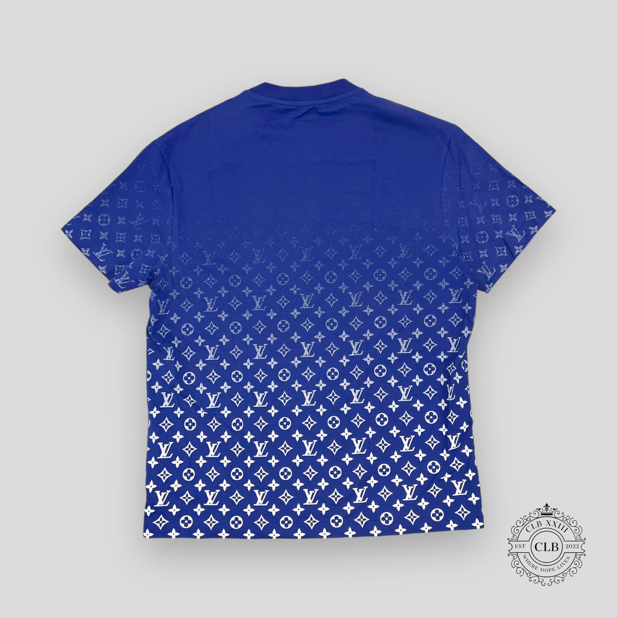 LOUIS VUITTON MONOGRAM DEGRADE T-SHIRT - BLUE/WHITE