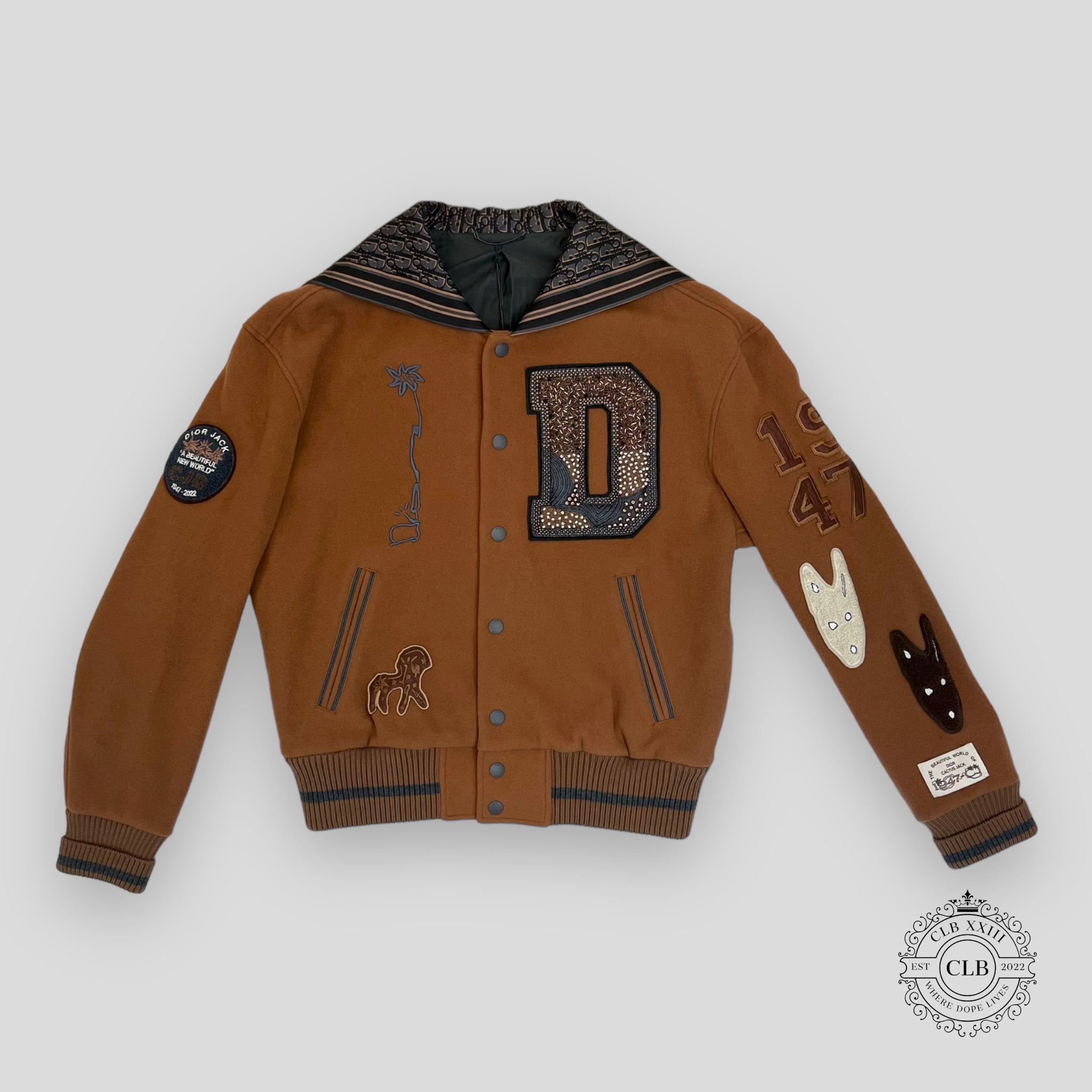 DIOR CACTUS JACK BASEBALL JACKET - COFFEE