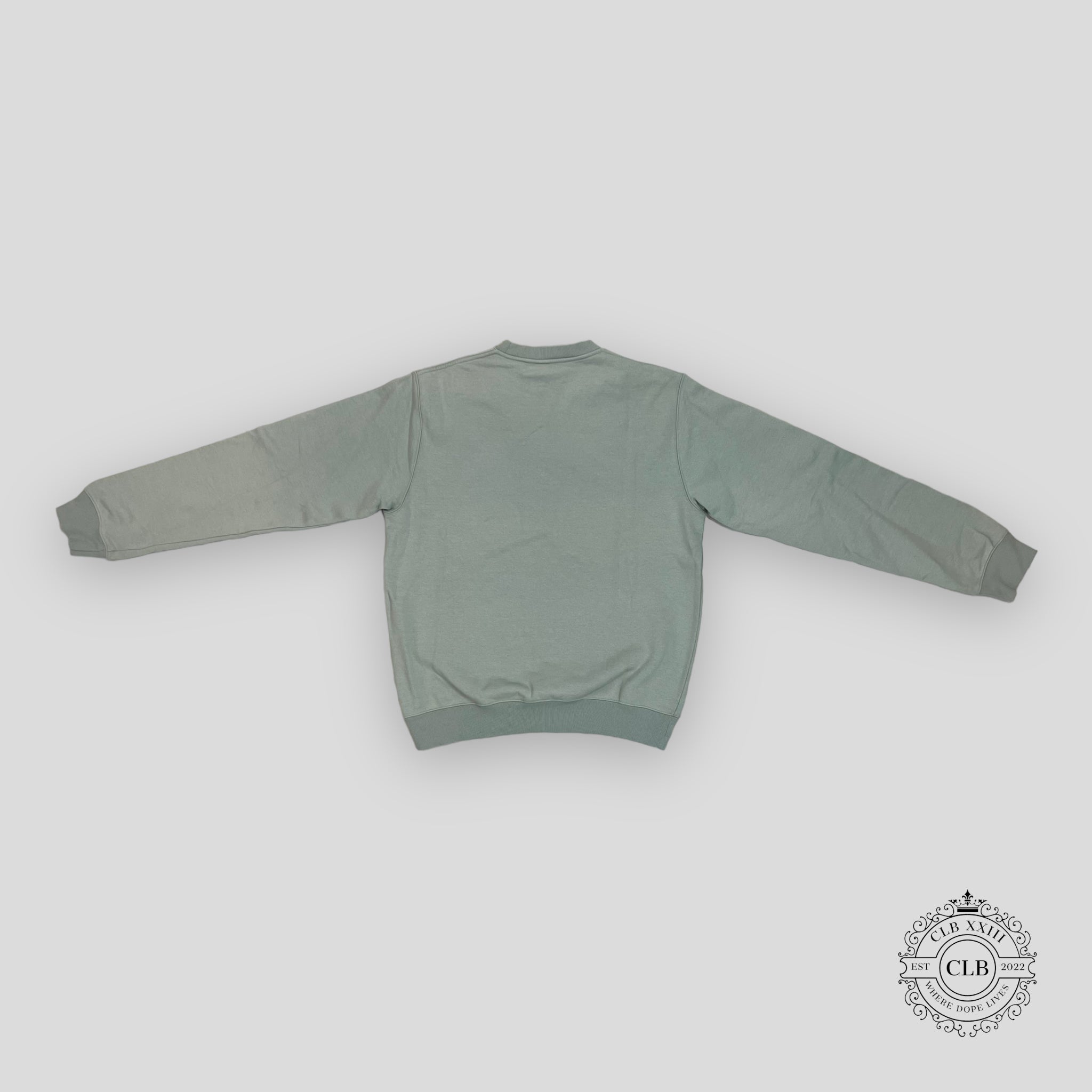 Dior Cactus Jack Beautiful World Crewneck in Green