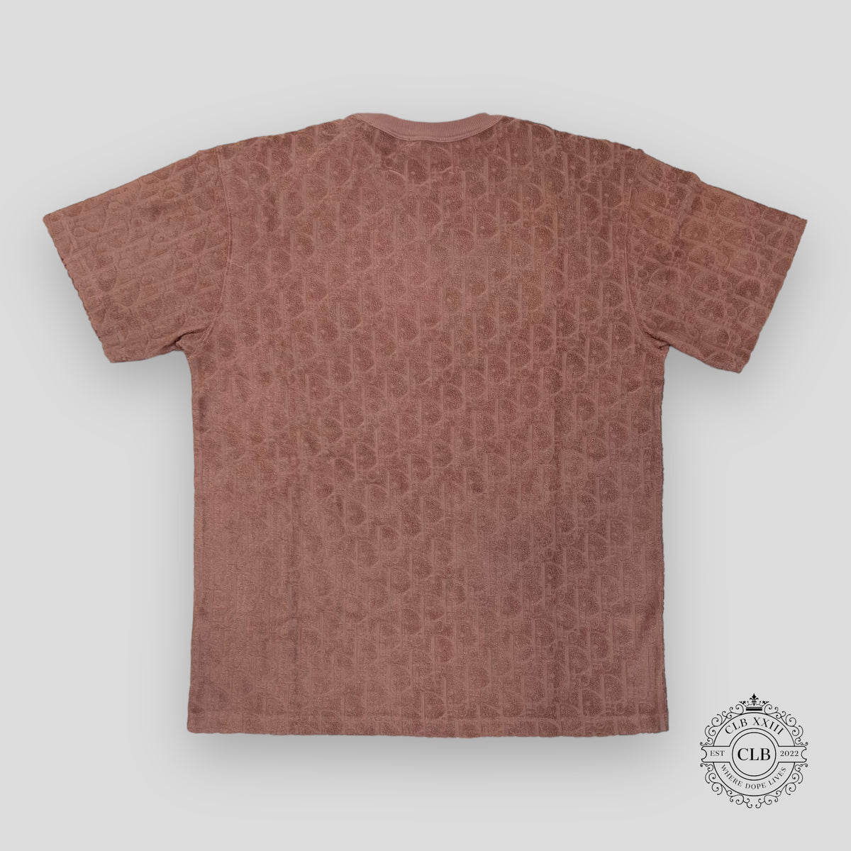 Dior Oblique Terrycloth Tee in Metal Pink