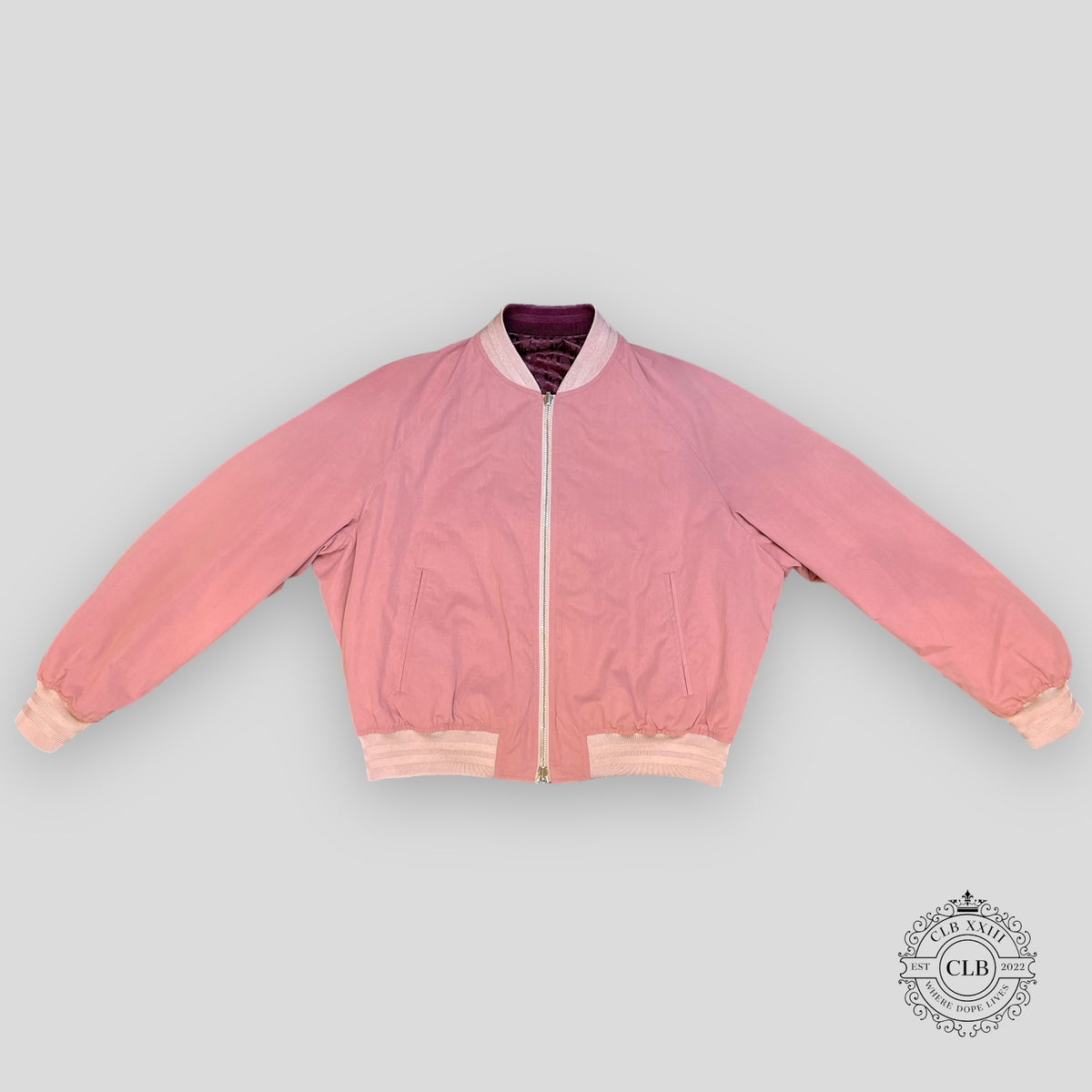 Dior Reversible Bomber Jacket in Metal Pink