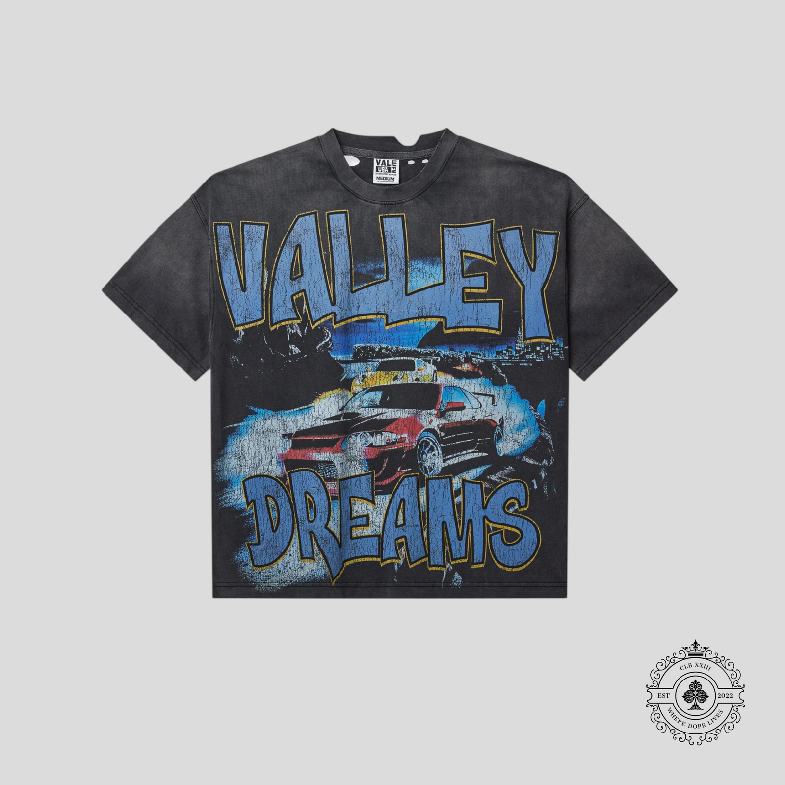 Vale Mount Akina Tee in Black