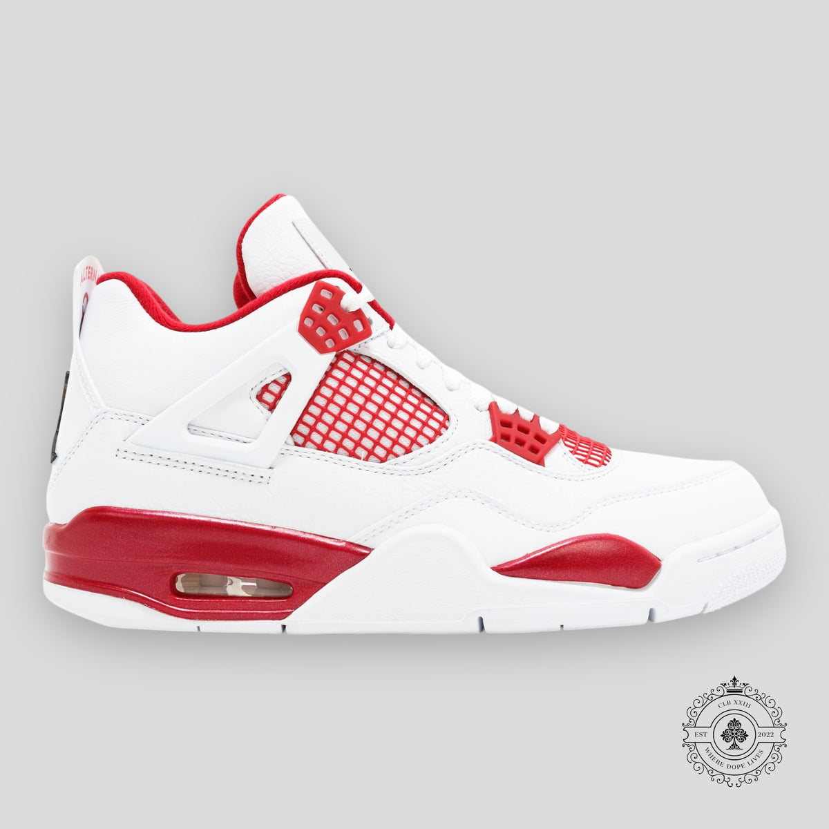 Air Jordan 4 Retro Alternate 89