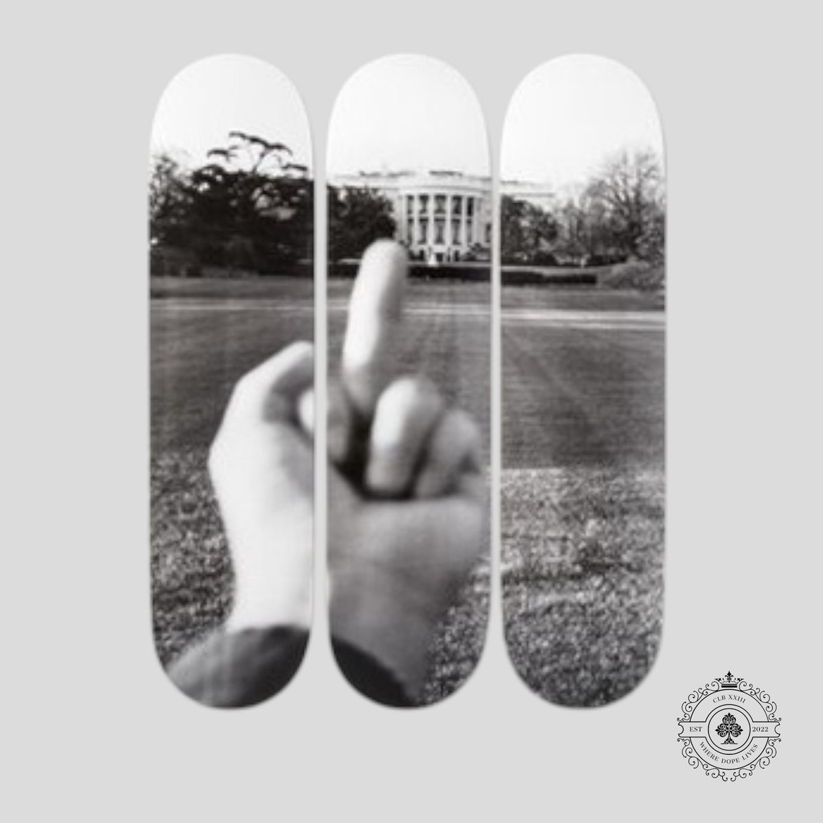 Study of Perspective: The White House 2017 Skate Decks