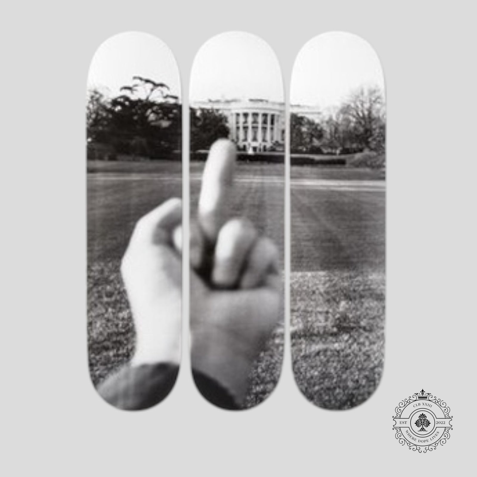 Study of Perspective: The White House 2017 Skate Decks