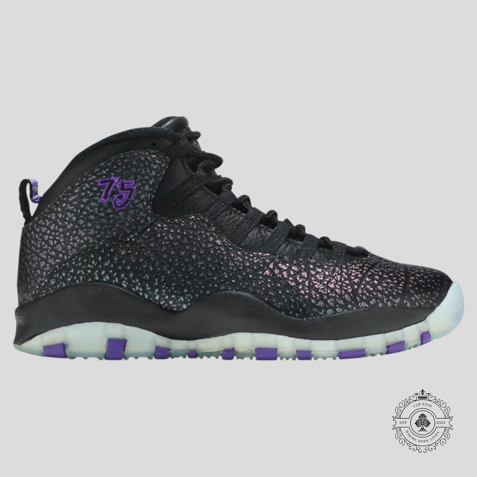 Air Jordan 10 Retro Paris