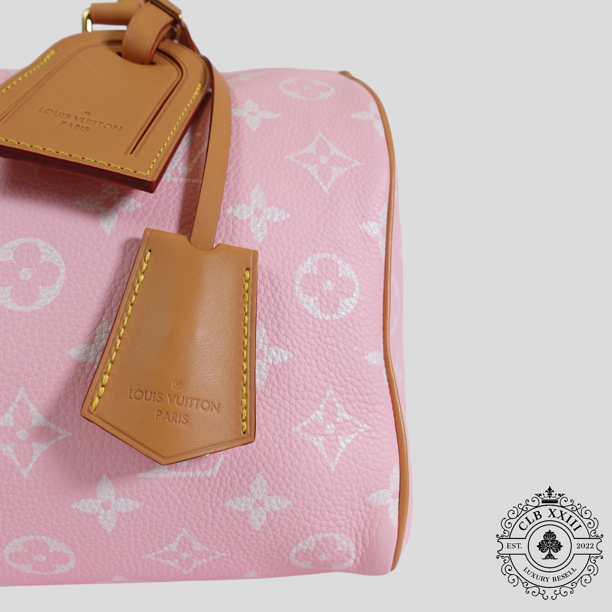 Louis Vuitton Speedy P9 Bandoulière 30 in Candy