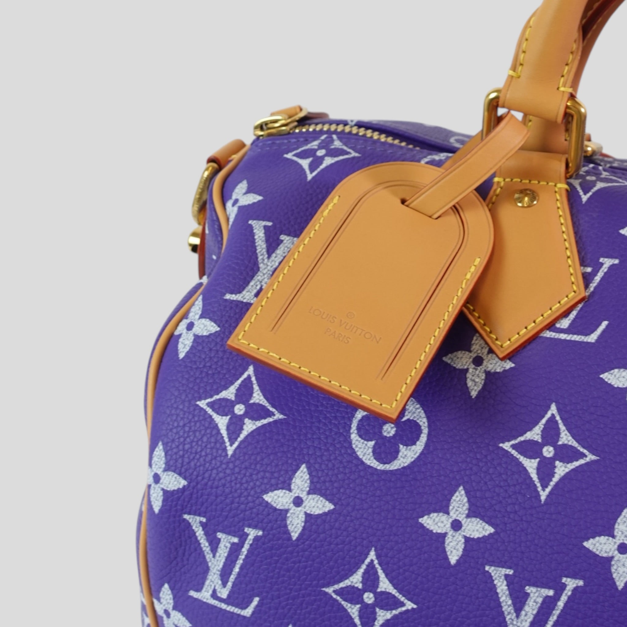 Louis Vuitton Speedy P9 Bandoulière 40 in Purple