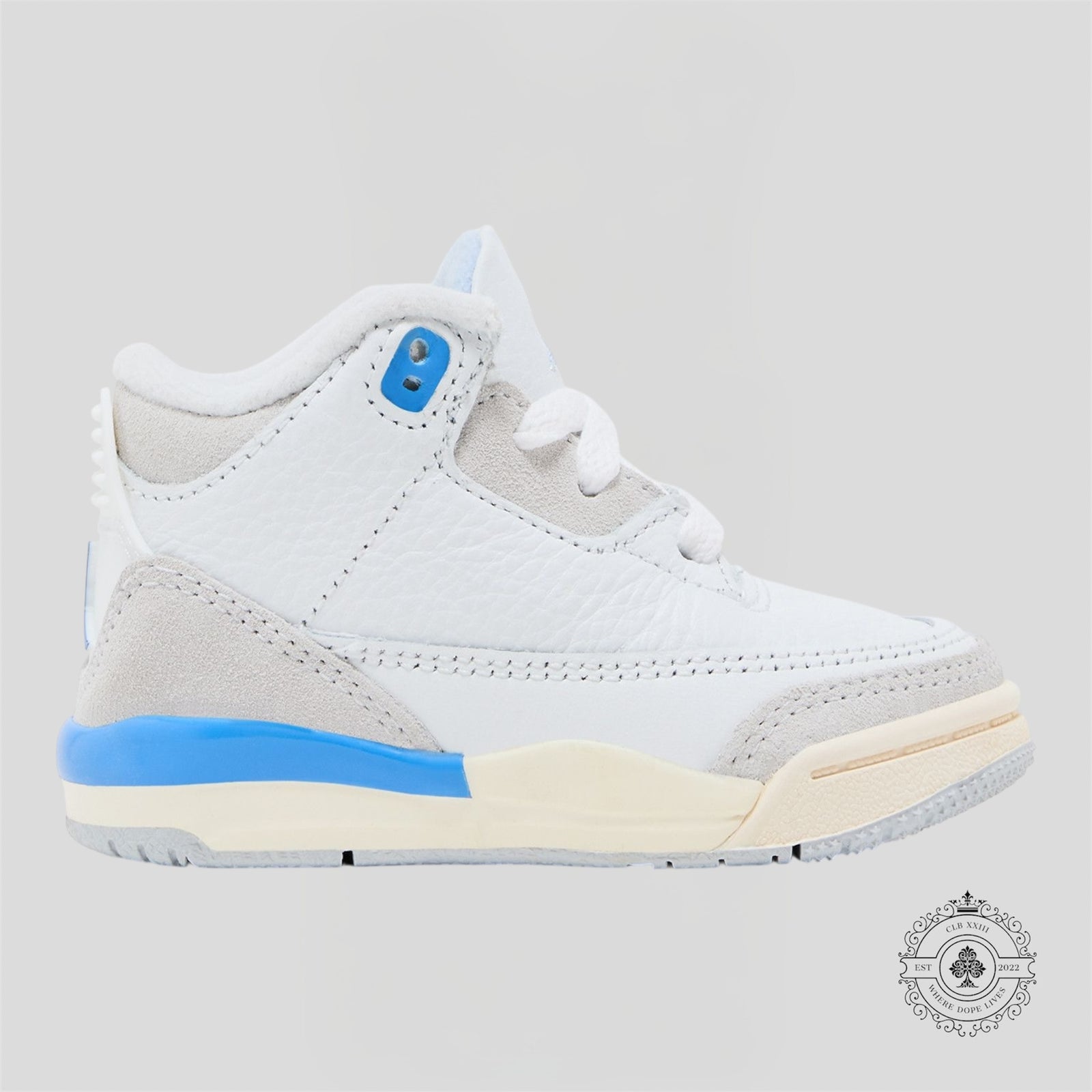 Air Jordan 3 Retro Lucky Shorts (PS)