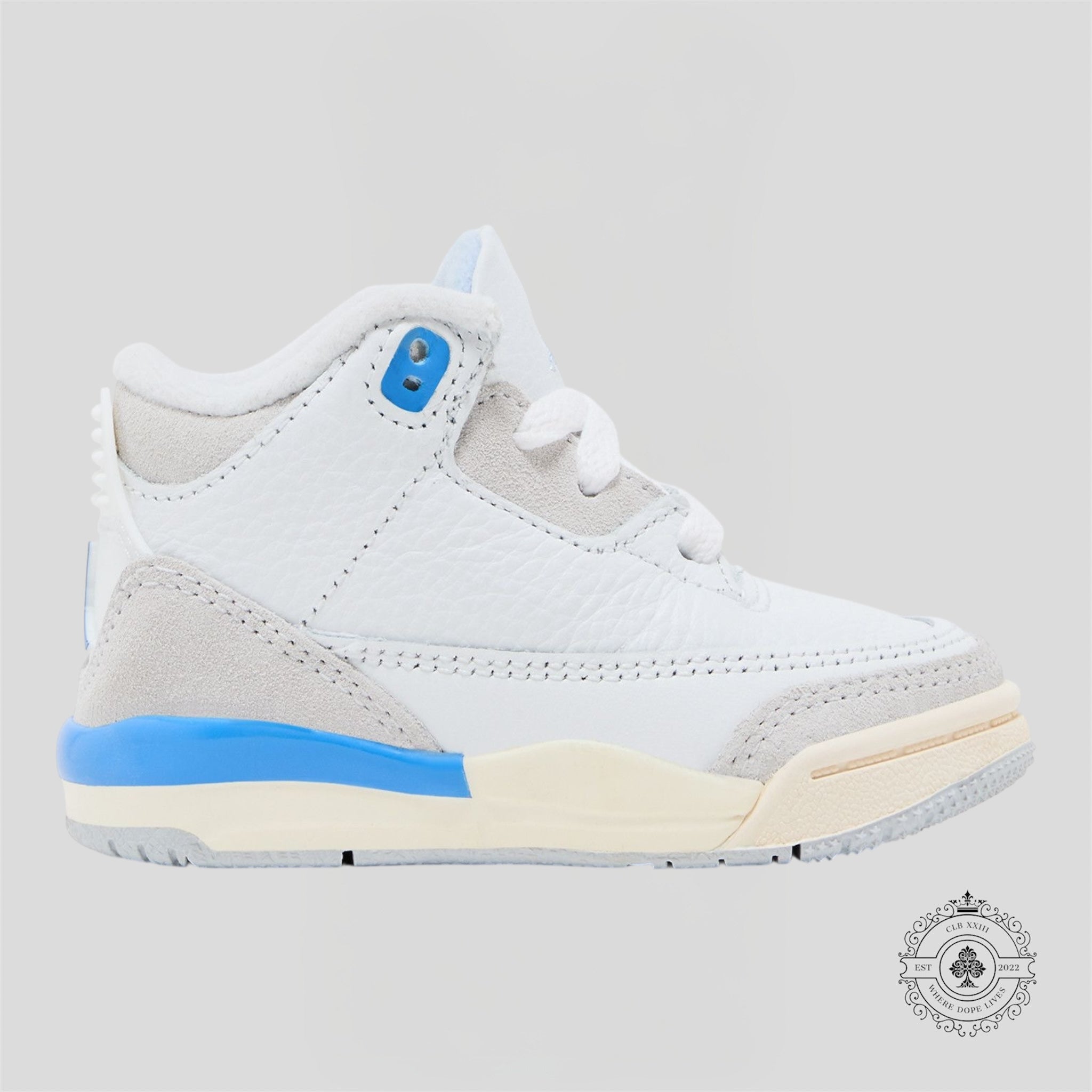 Air Jordan 3 Retro TD Lucky Shorts