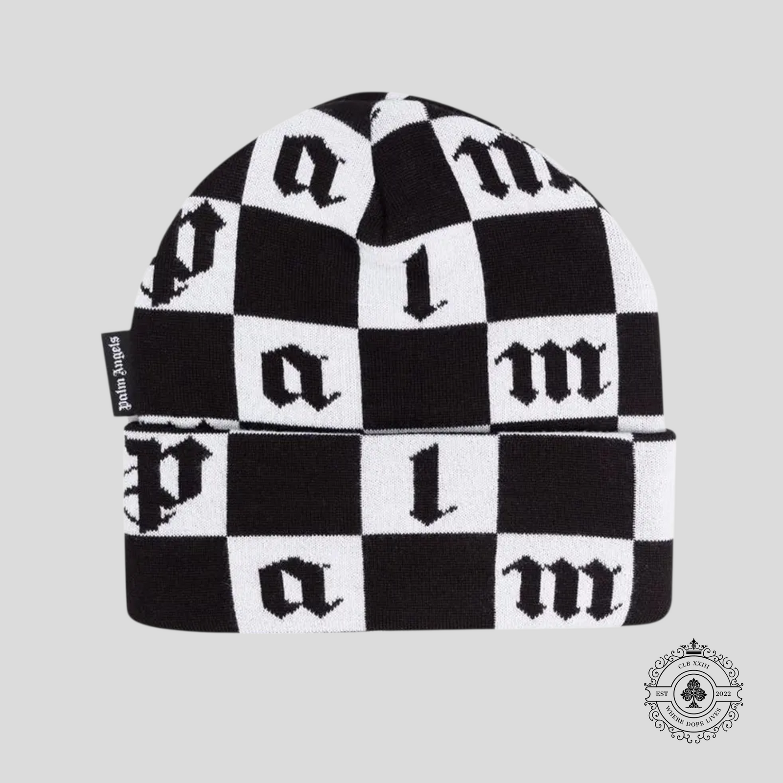 Palm Angels Damier Beanie in Black/White