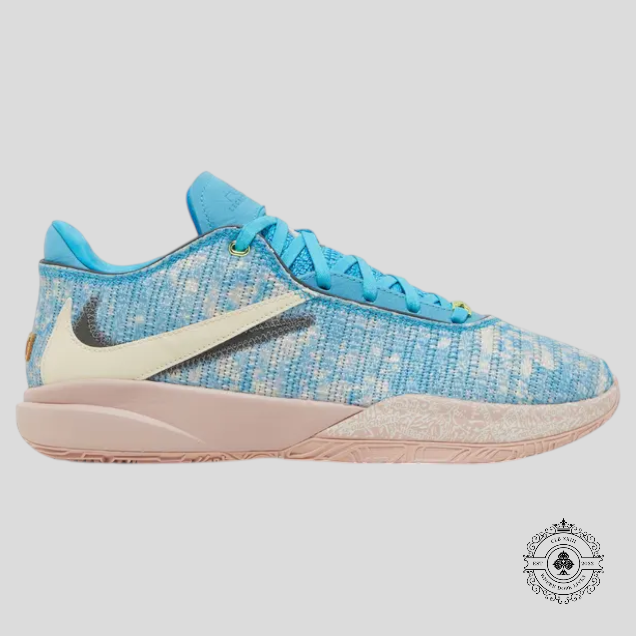 Nike LeBron 20 All-Star